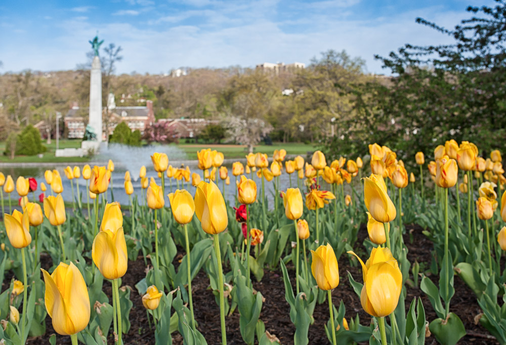 1405 MTC Morning (30 of 87)-Edit.jpg