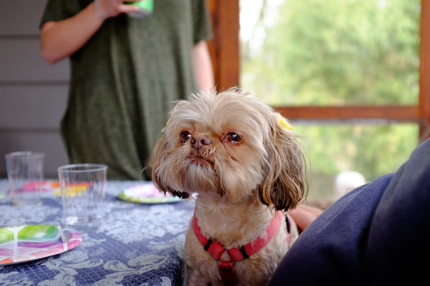 1704_easter (344 of 547).jpg