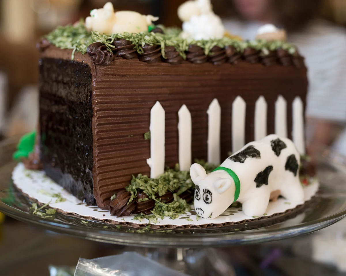 1903_Nanny_bday (75 of 115).jpg