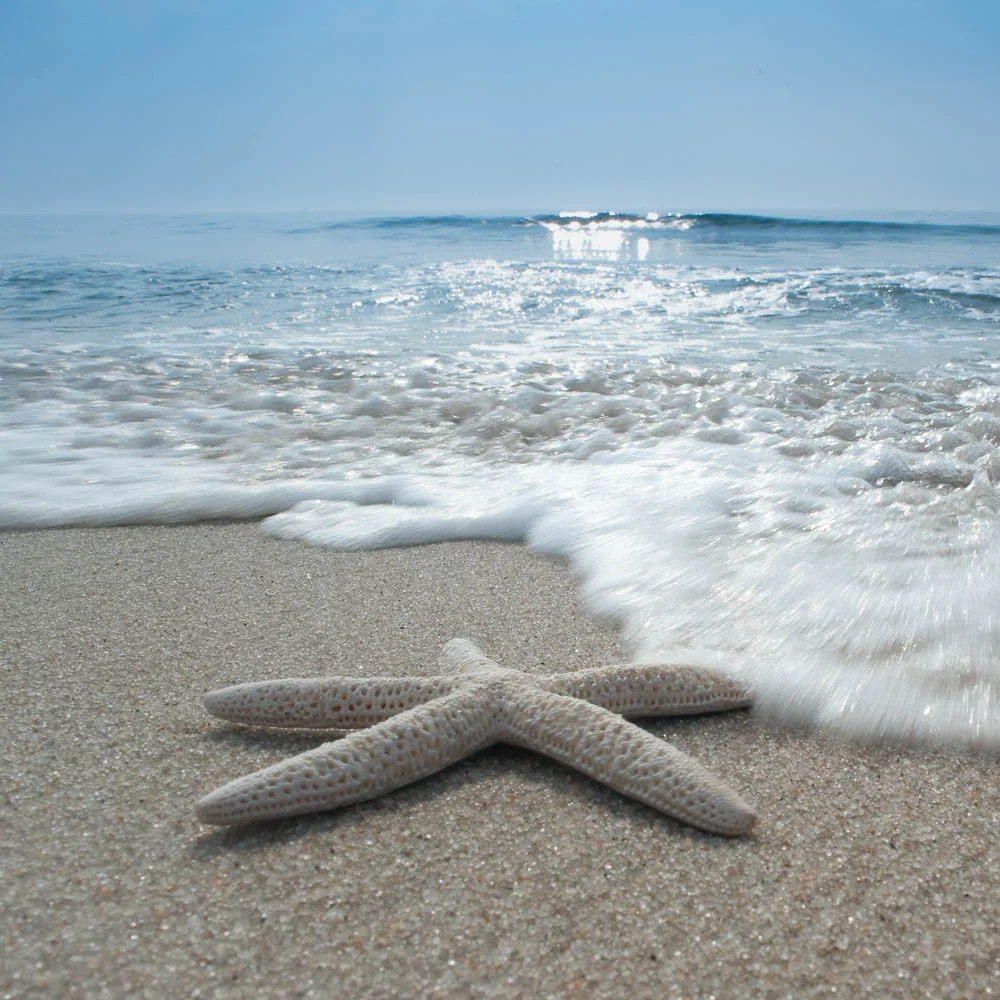 0908 LBI d1 (548 of 693)-Edit-Edit-2.jpg