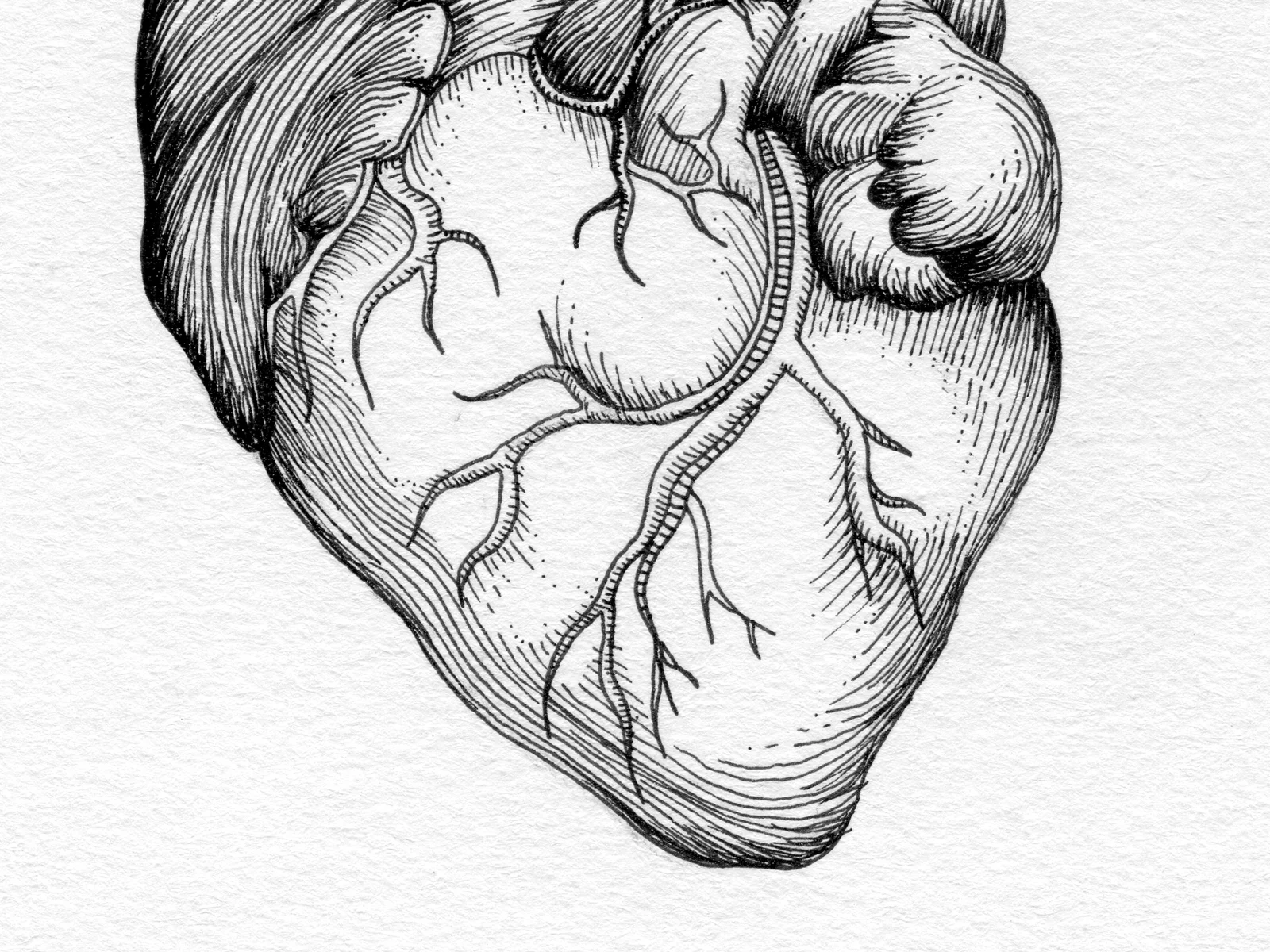 Heartbeat_Ink_5.25x9_b.jpg