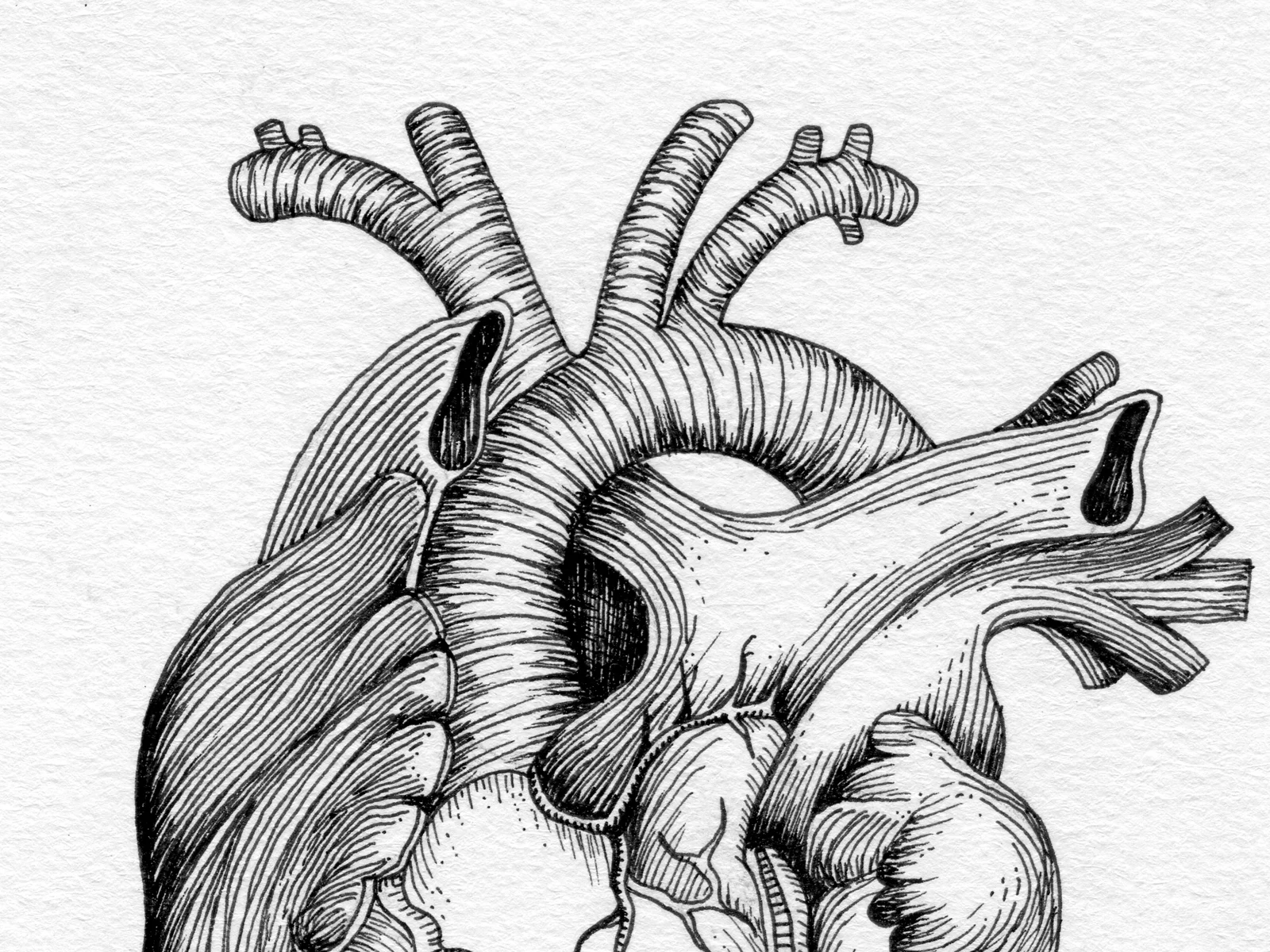 Heartbeat_Ink_5.25x9_c.jpg