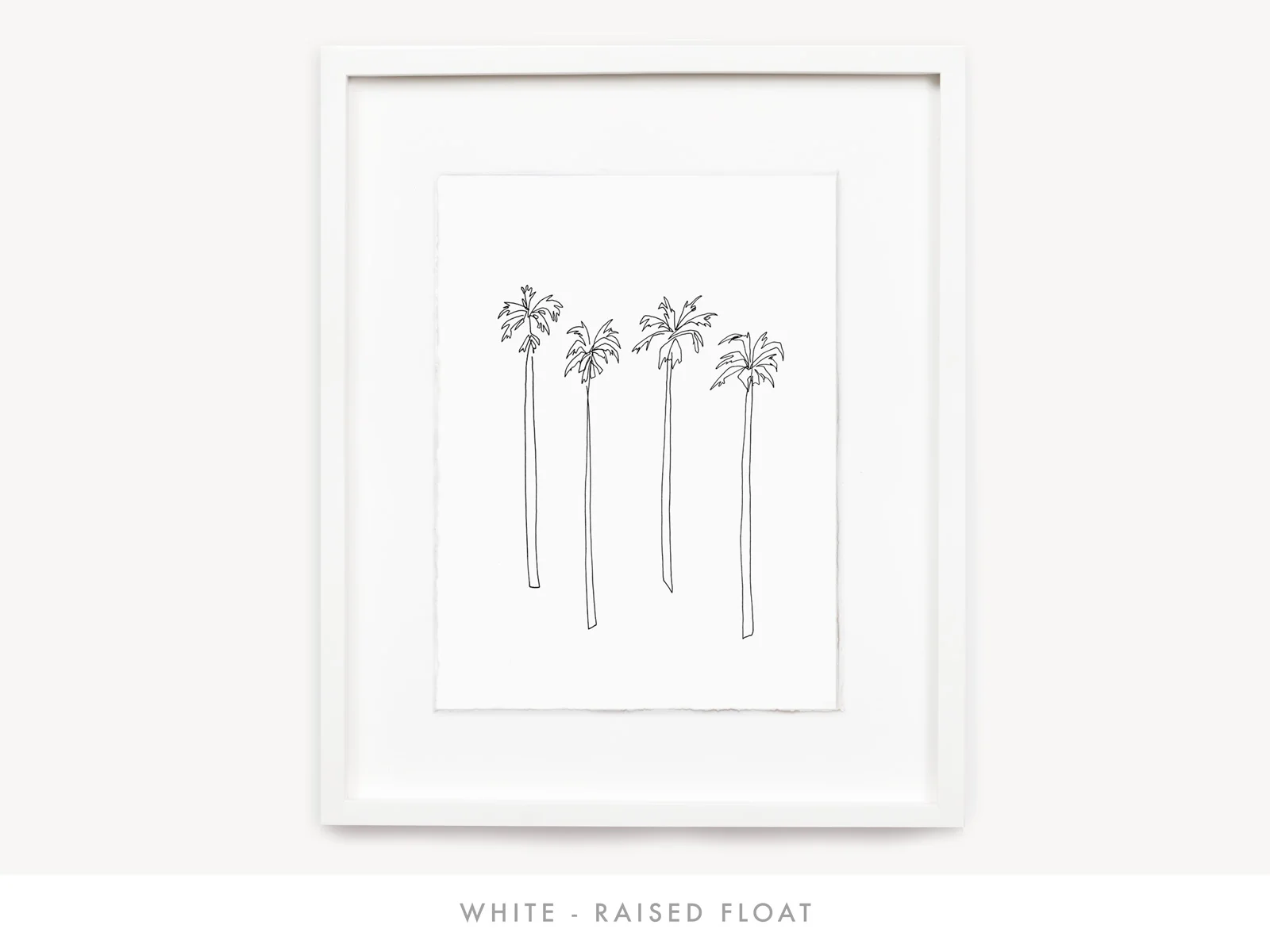 Palms_White_Float.jpg