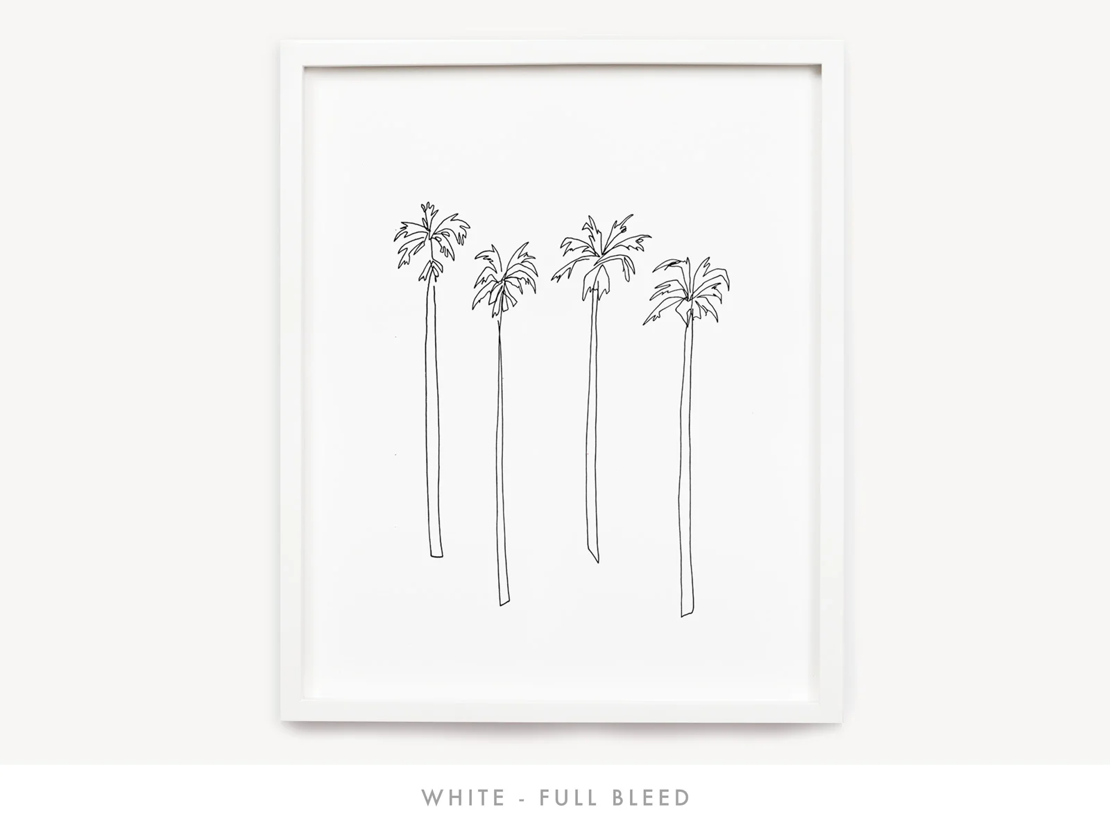 Palms_White_Fullbleed.jpg