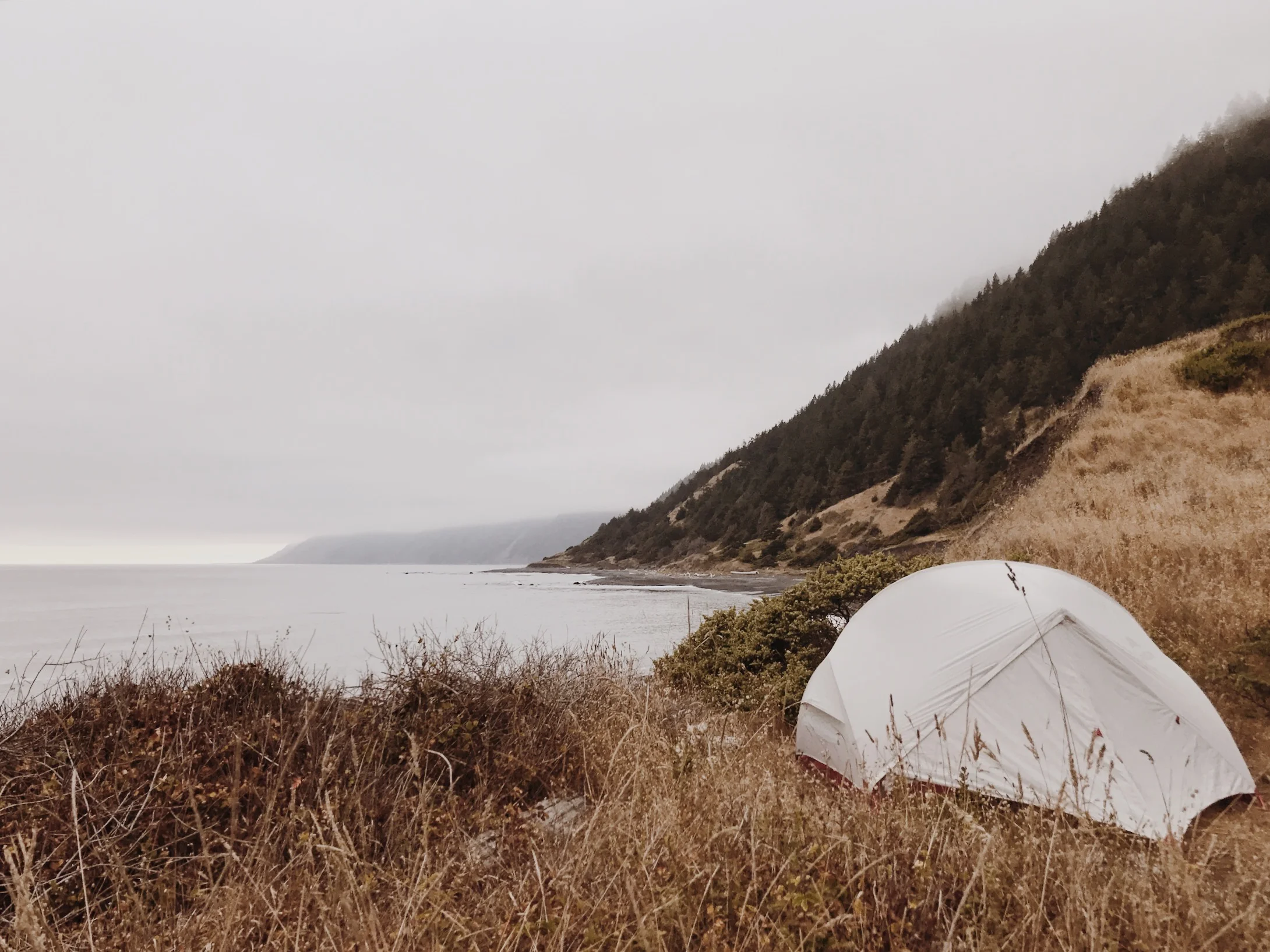 Lost Coast, CA