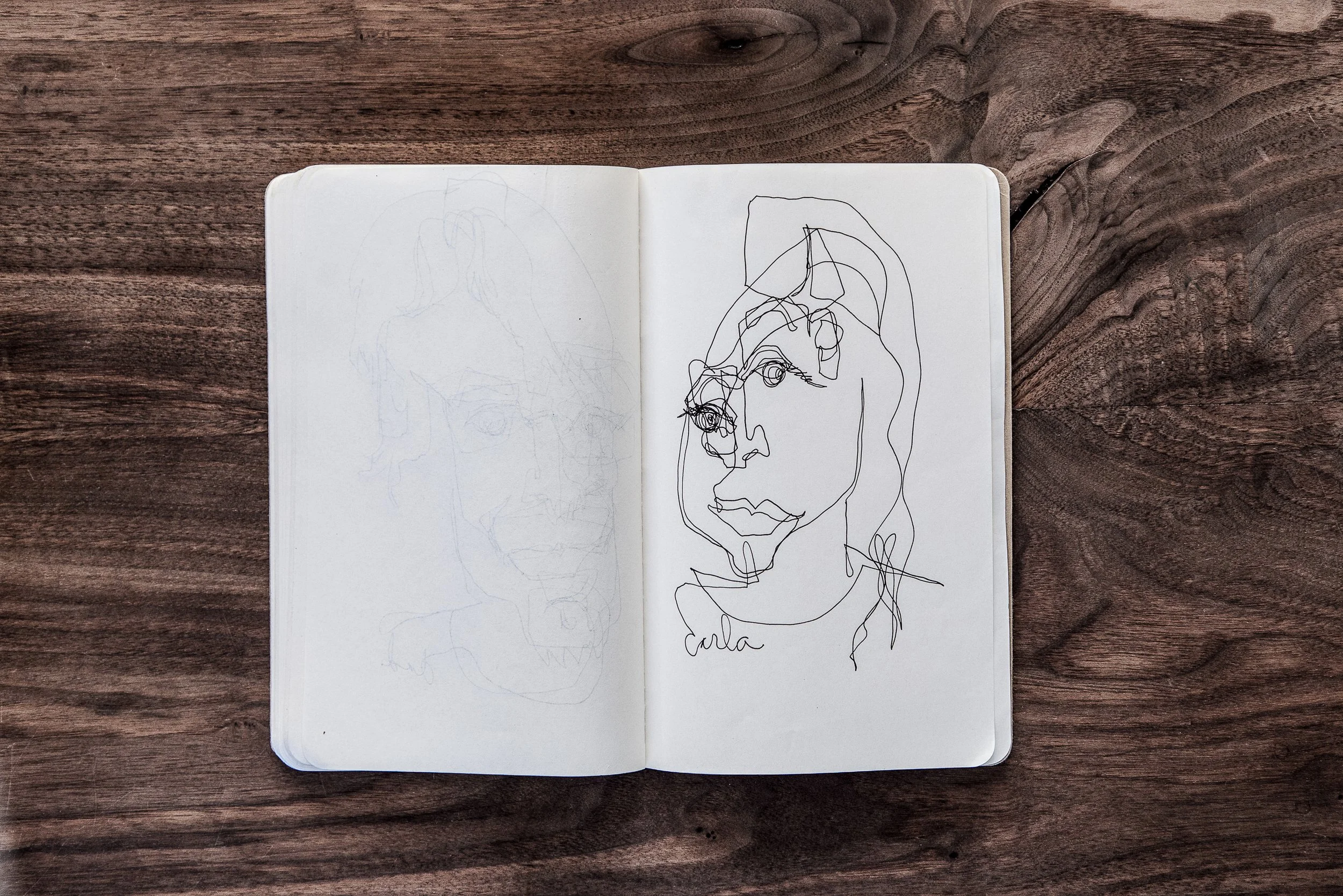 Selects_BC_Moleskine_Aerials_Wood-25.jpg