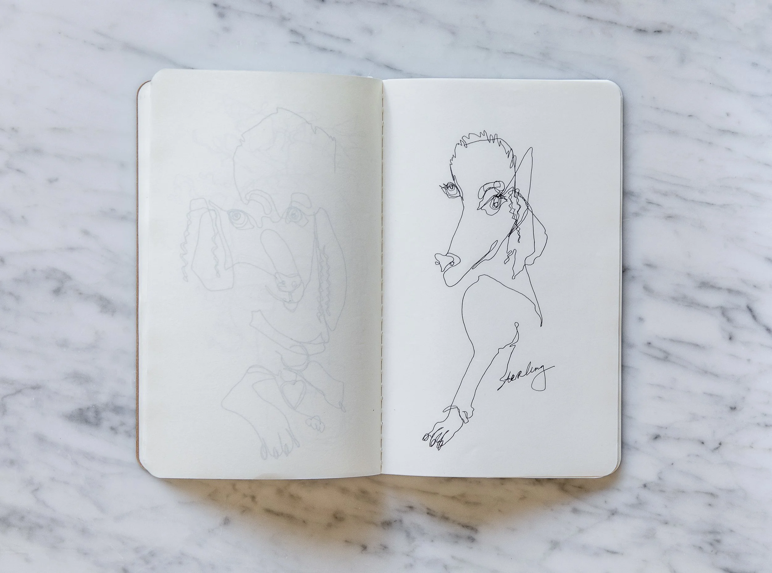 Selects_BC_Moleskine_Aerials_Marble-21.jpg