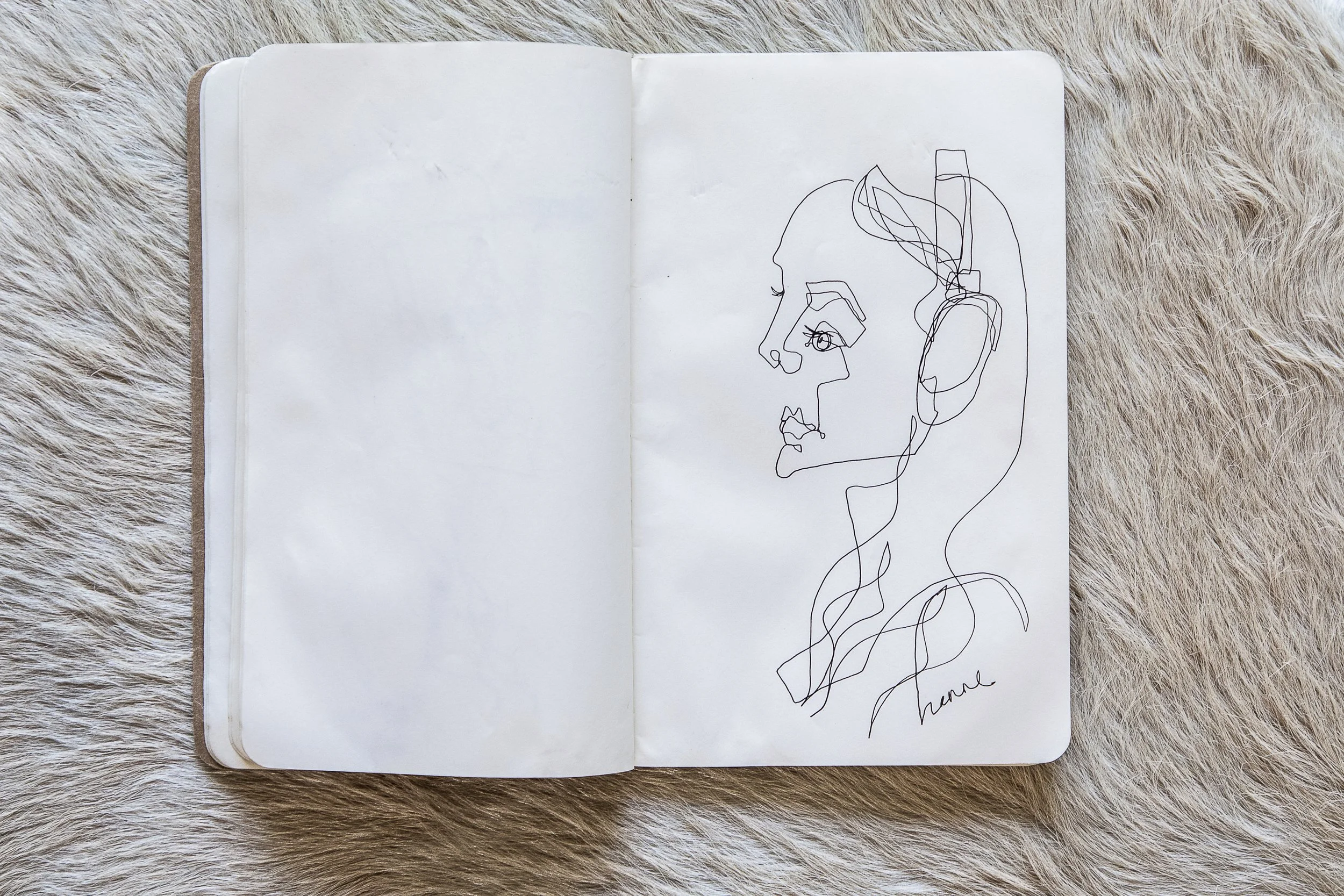 Selects_BC_Moleskine_Aerials_Cowhide-18.jpg