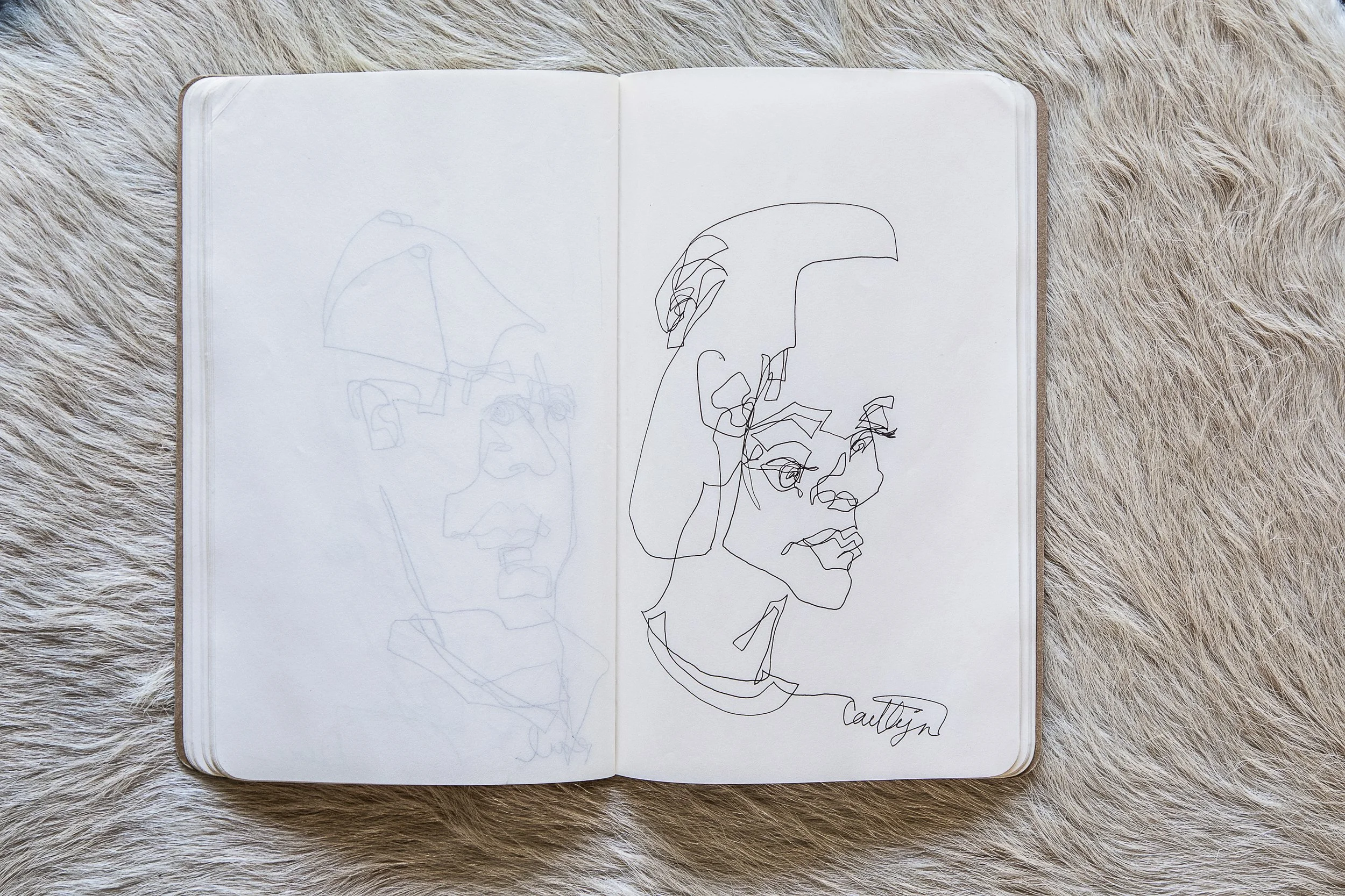 Selects_BC_Moleskine_Aerials_Cowhide-15.jpg