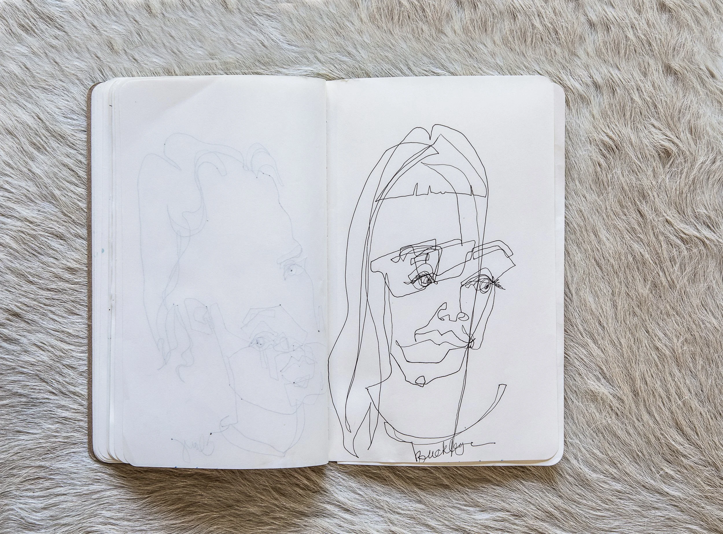 Selects_BC_Moleskine_Aerials_Cowhide-8.jpg