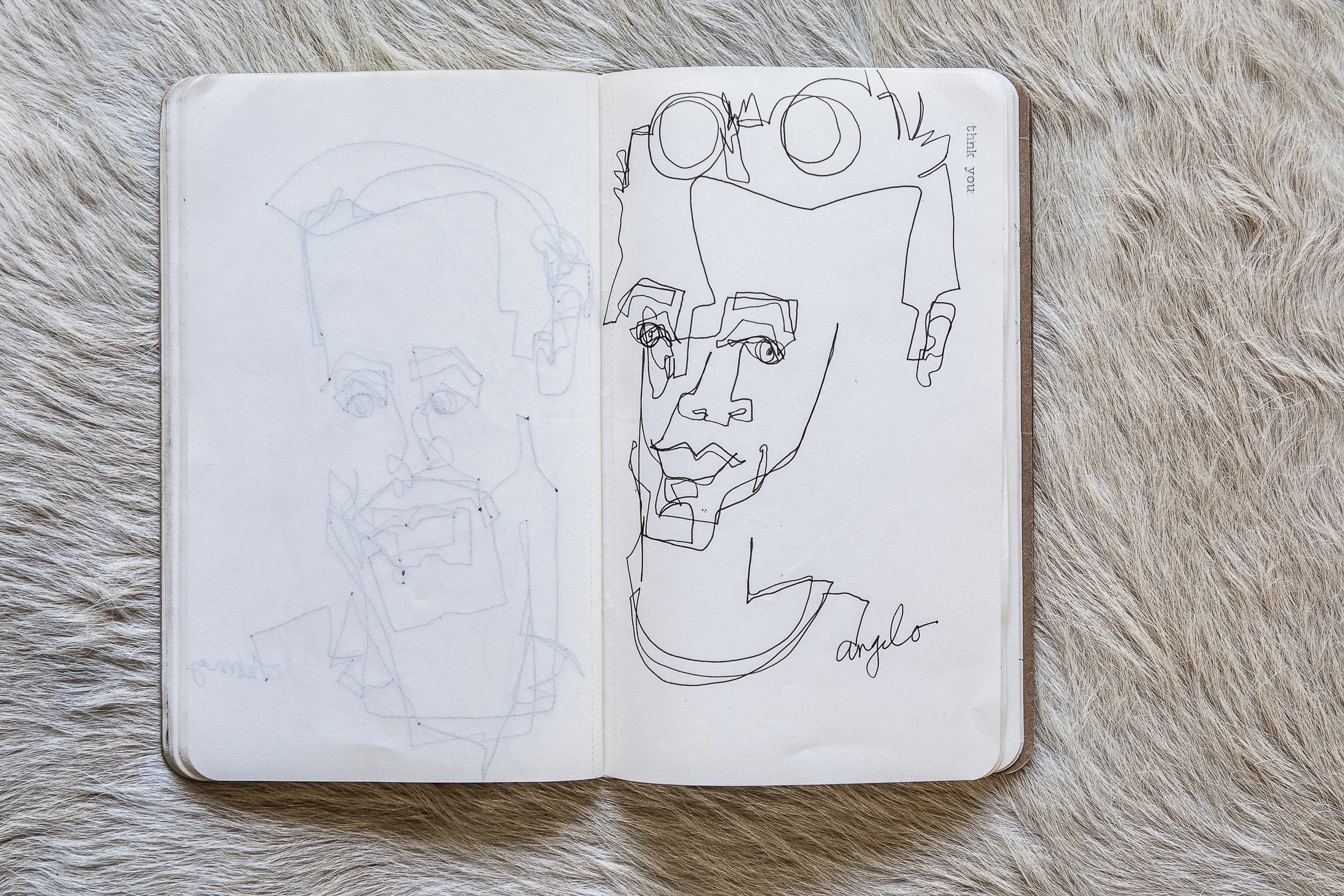 Selects_BC_Moleskine_Aerials_Cowhide-22.jpg