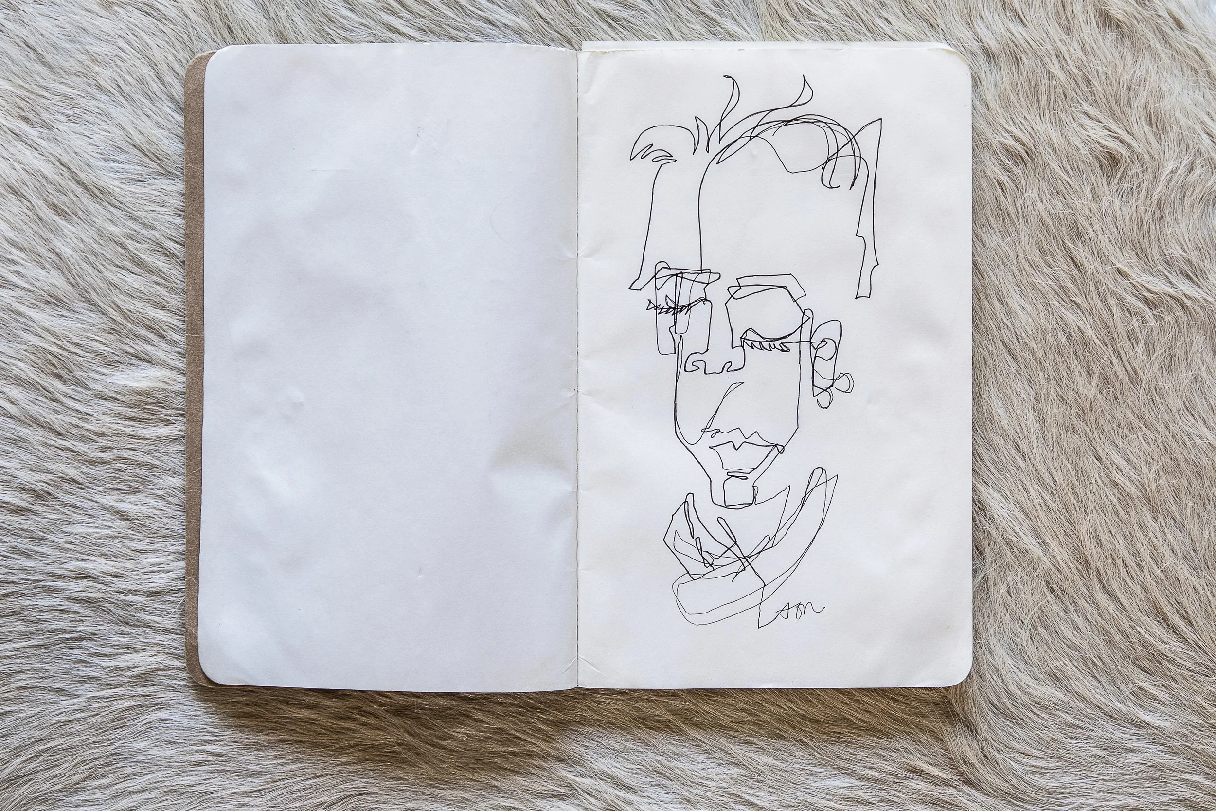 Selects_BC_Moleskine_Aerials_Cowhide-16.jpg