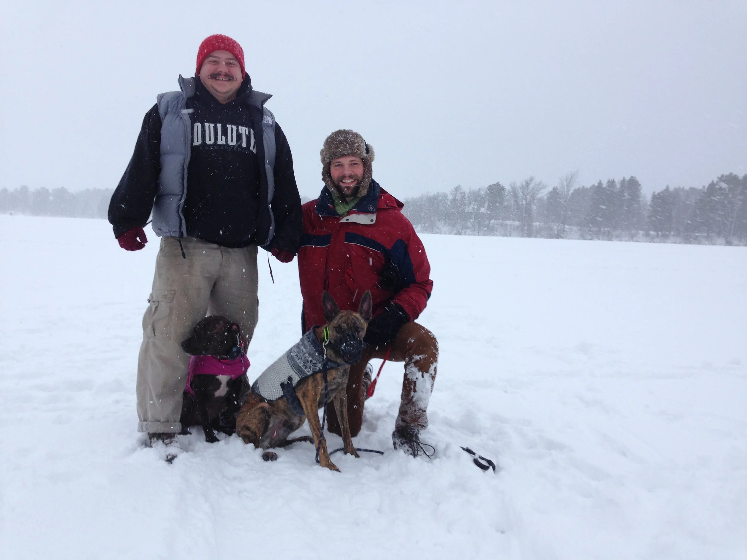 Mannered Mutts Dog Training