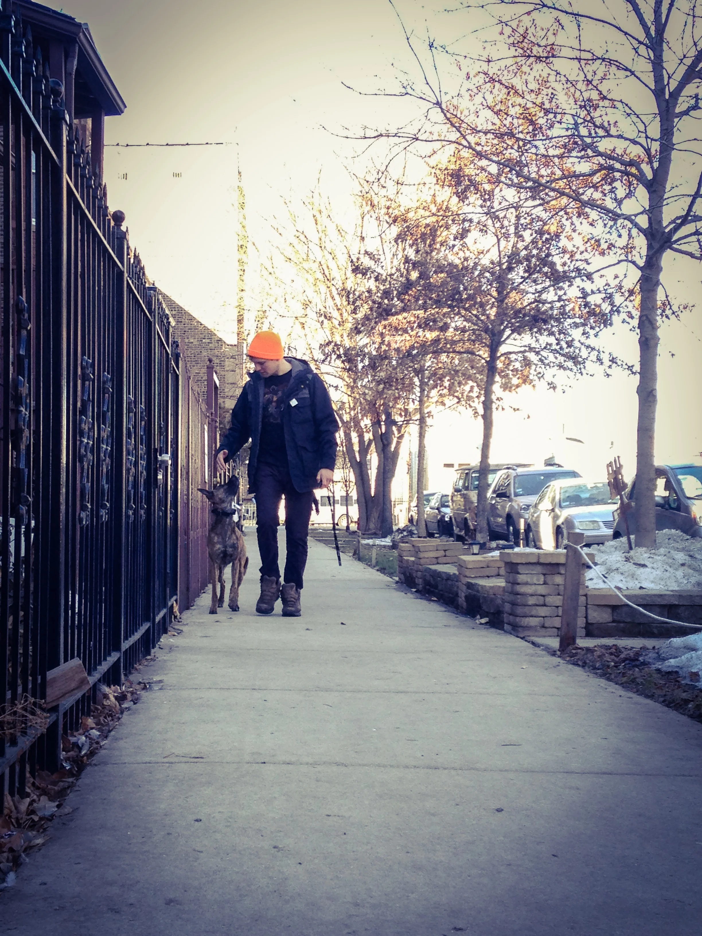 Mannered Mutts Dog TrainingAbout Us