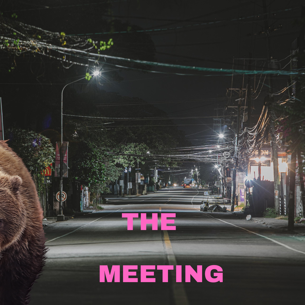 An image of a dark city street, empty except for what appears to be the shoulders of a brown bear in the far left corner. The title of the short story: The Meeting is written in hot pink across the bottom of the image.