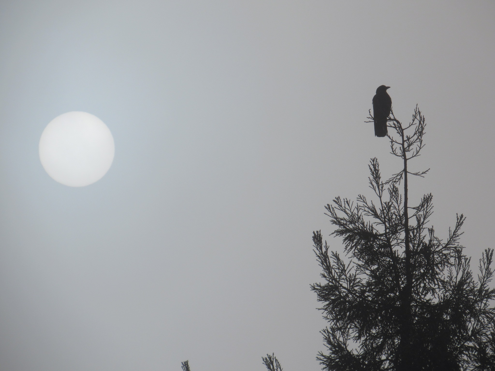 You Must Get in the Habit of Doing