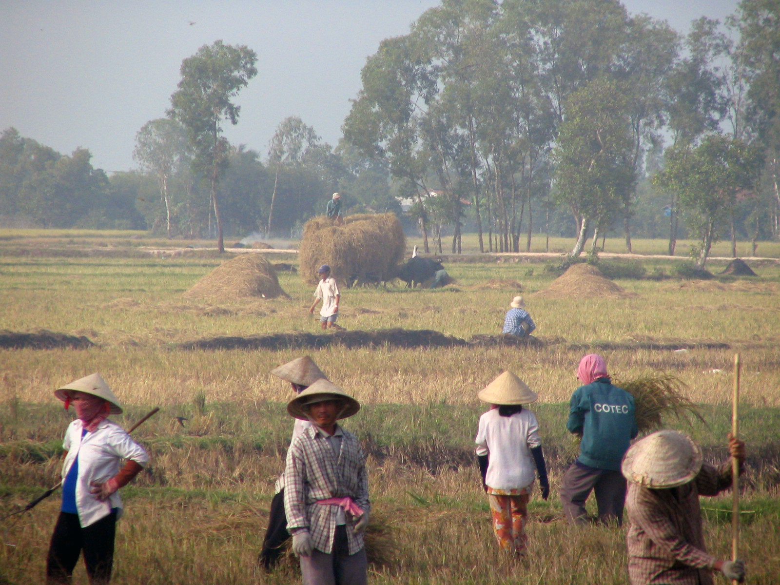 VIETNAM PICTURES 576.jpg