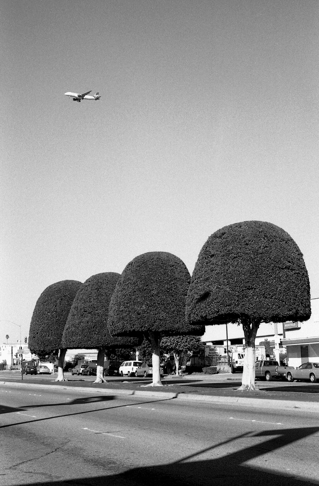 Virgin America