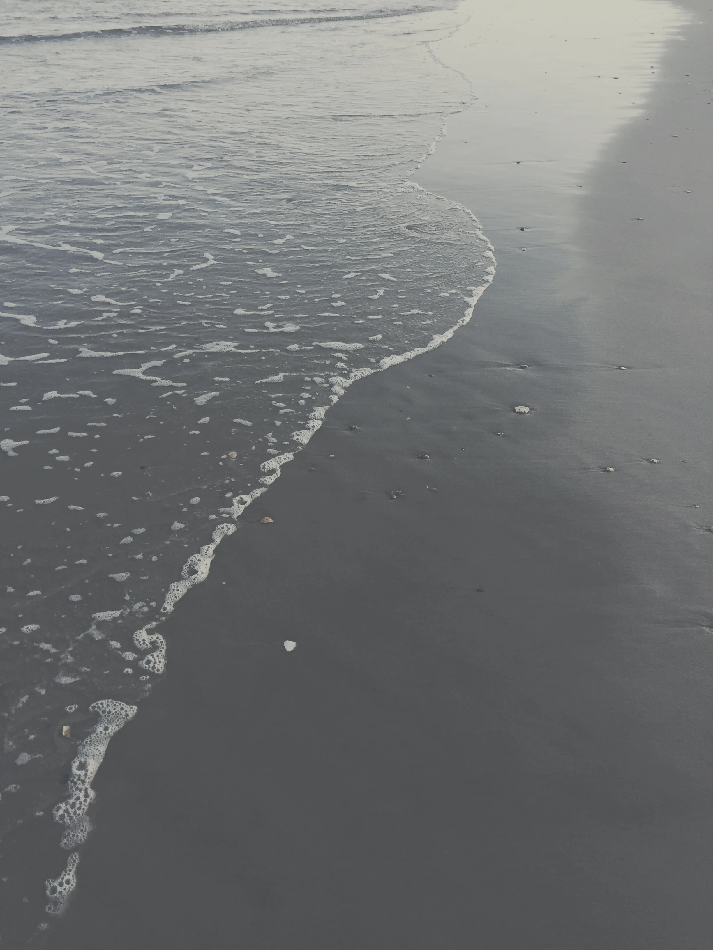shore.jpg