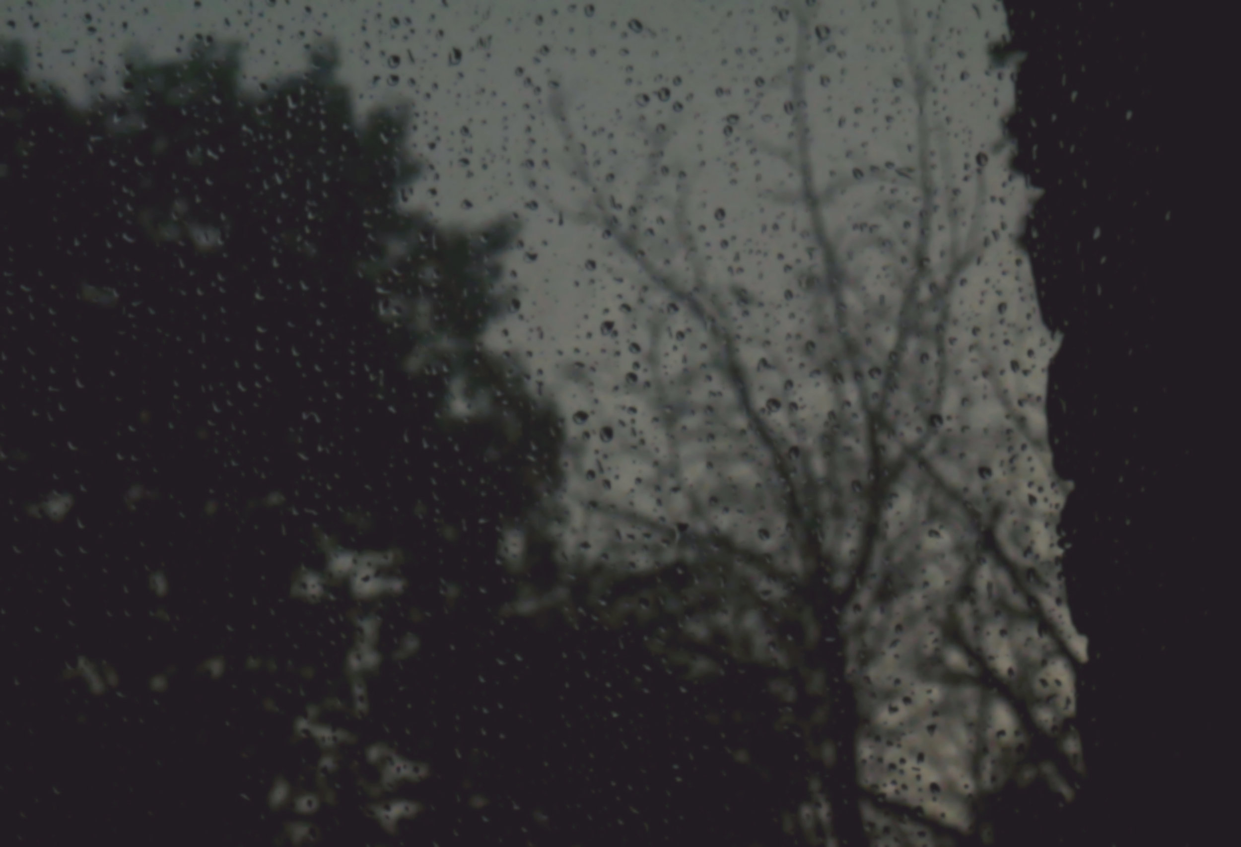 rain.jpg
