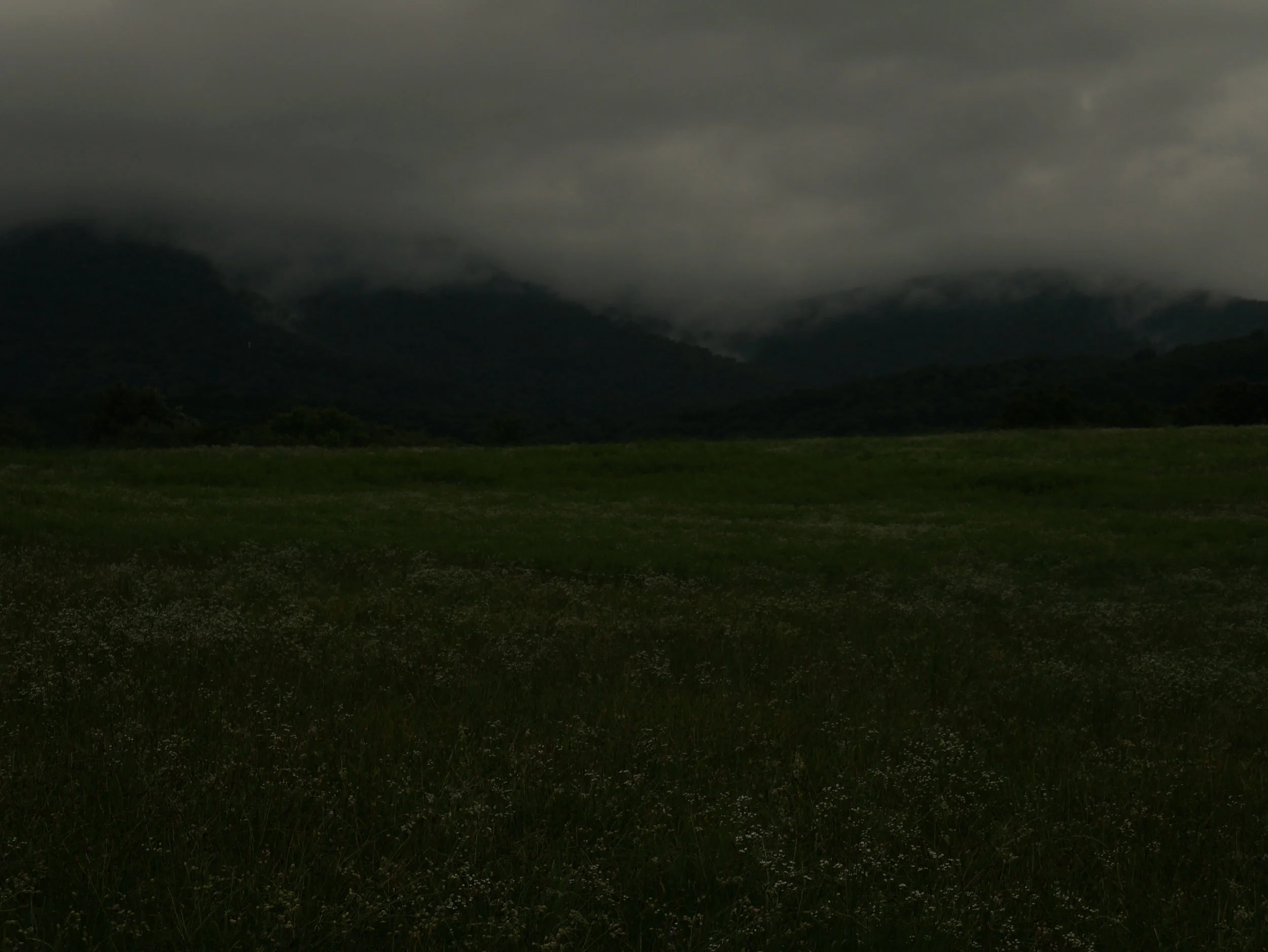 moody.jpg
