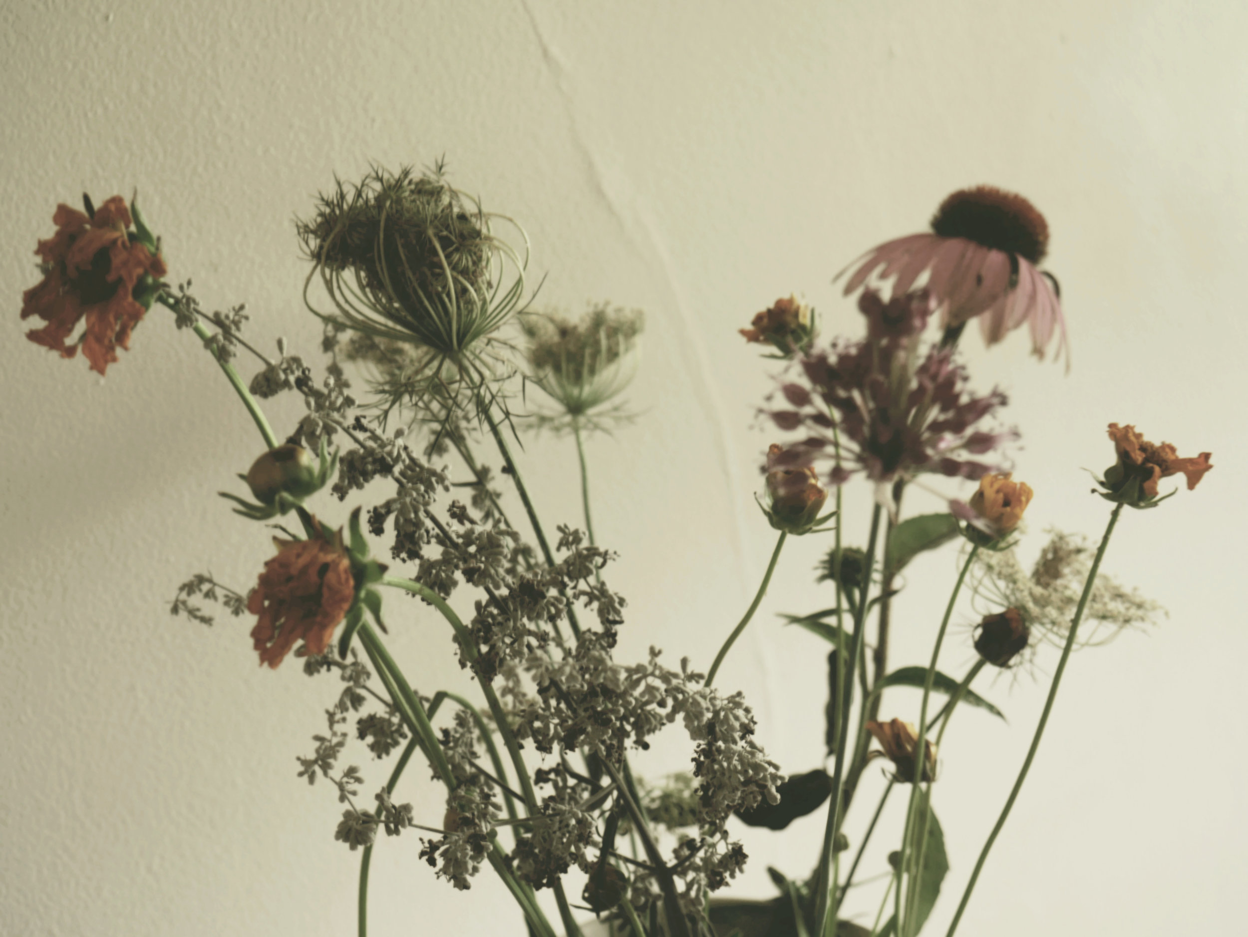 dyingflowers.jpg