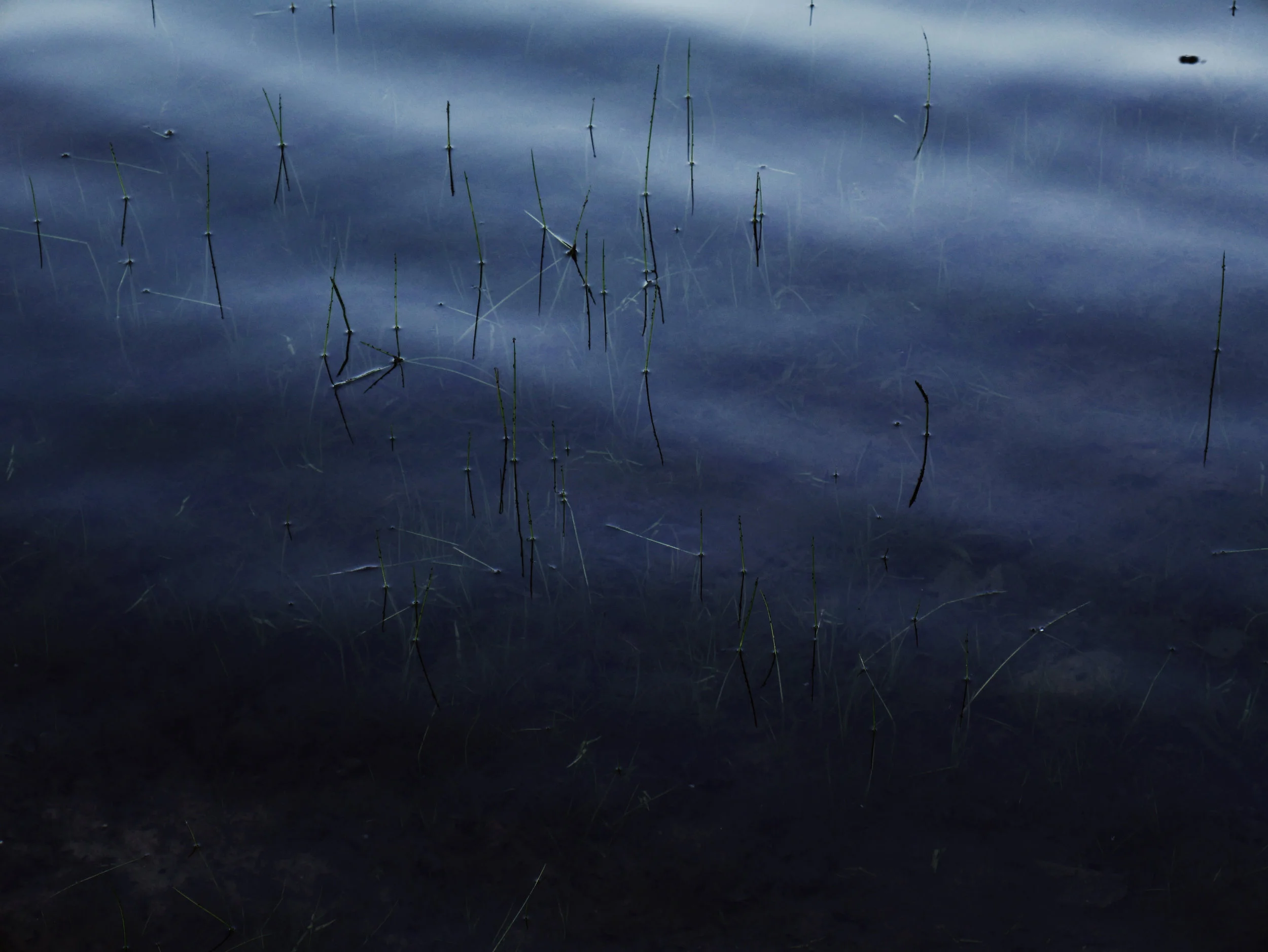 underwater.jpg