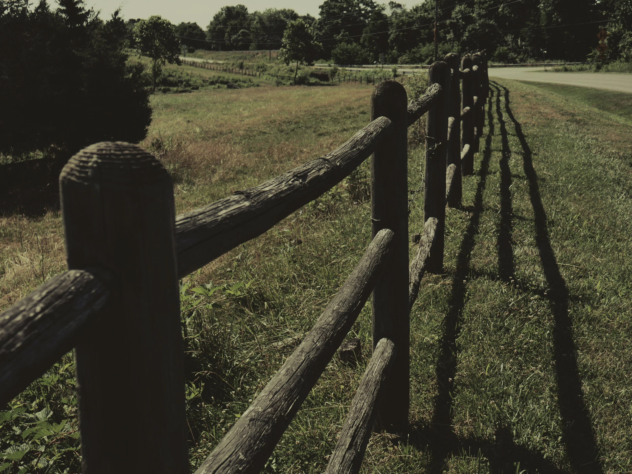fenced.jpg