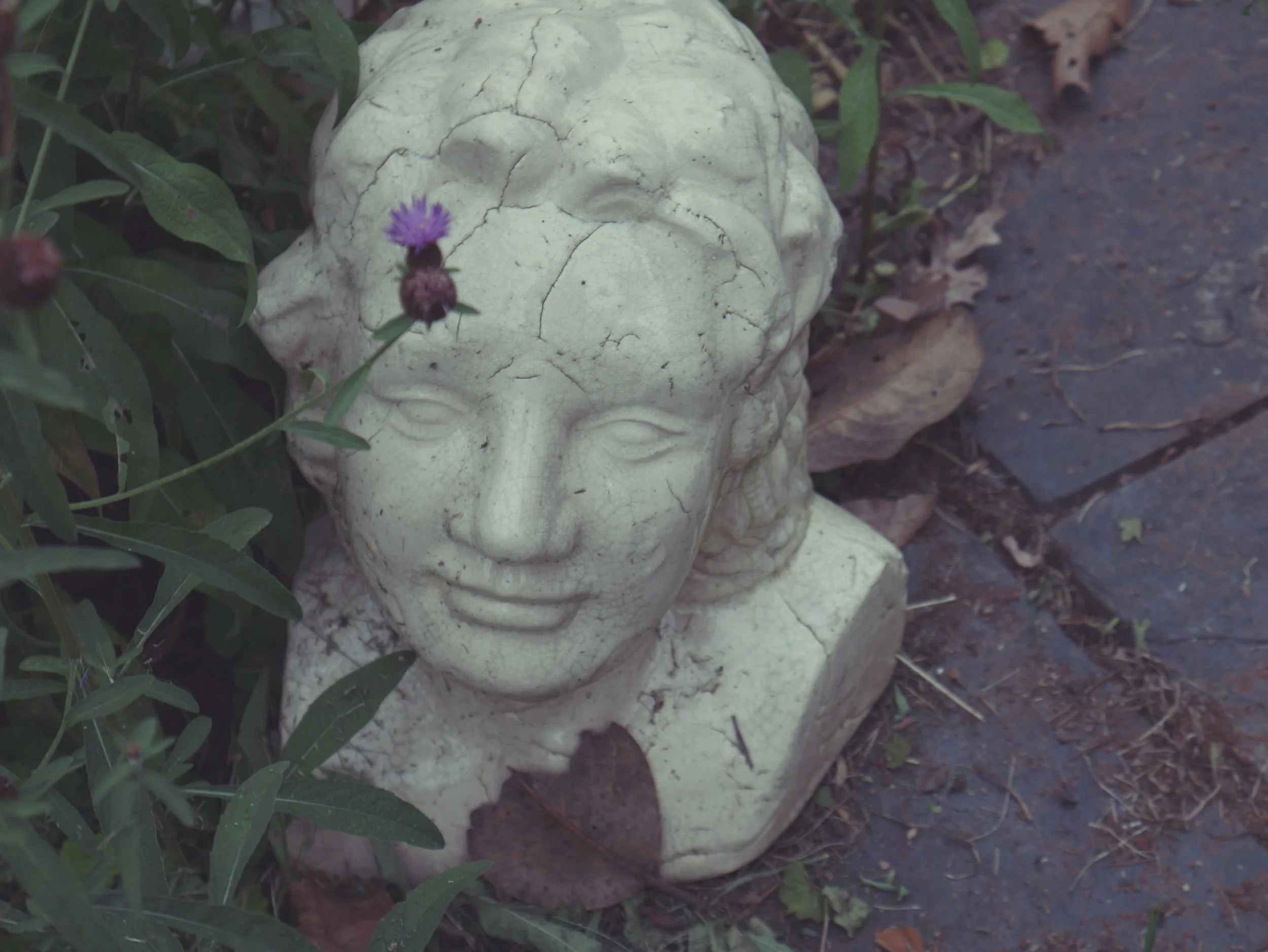 whereisyoursoul.jpg