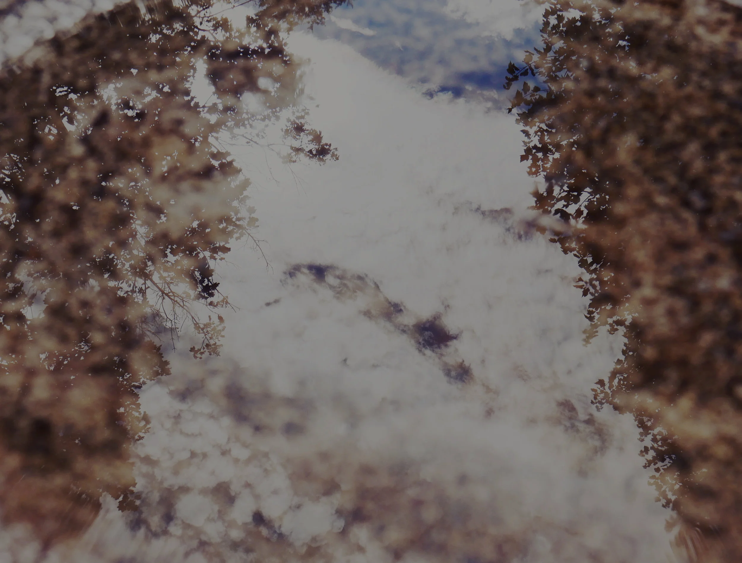 birdbath.jpg