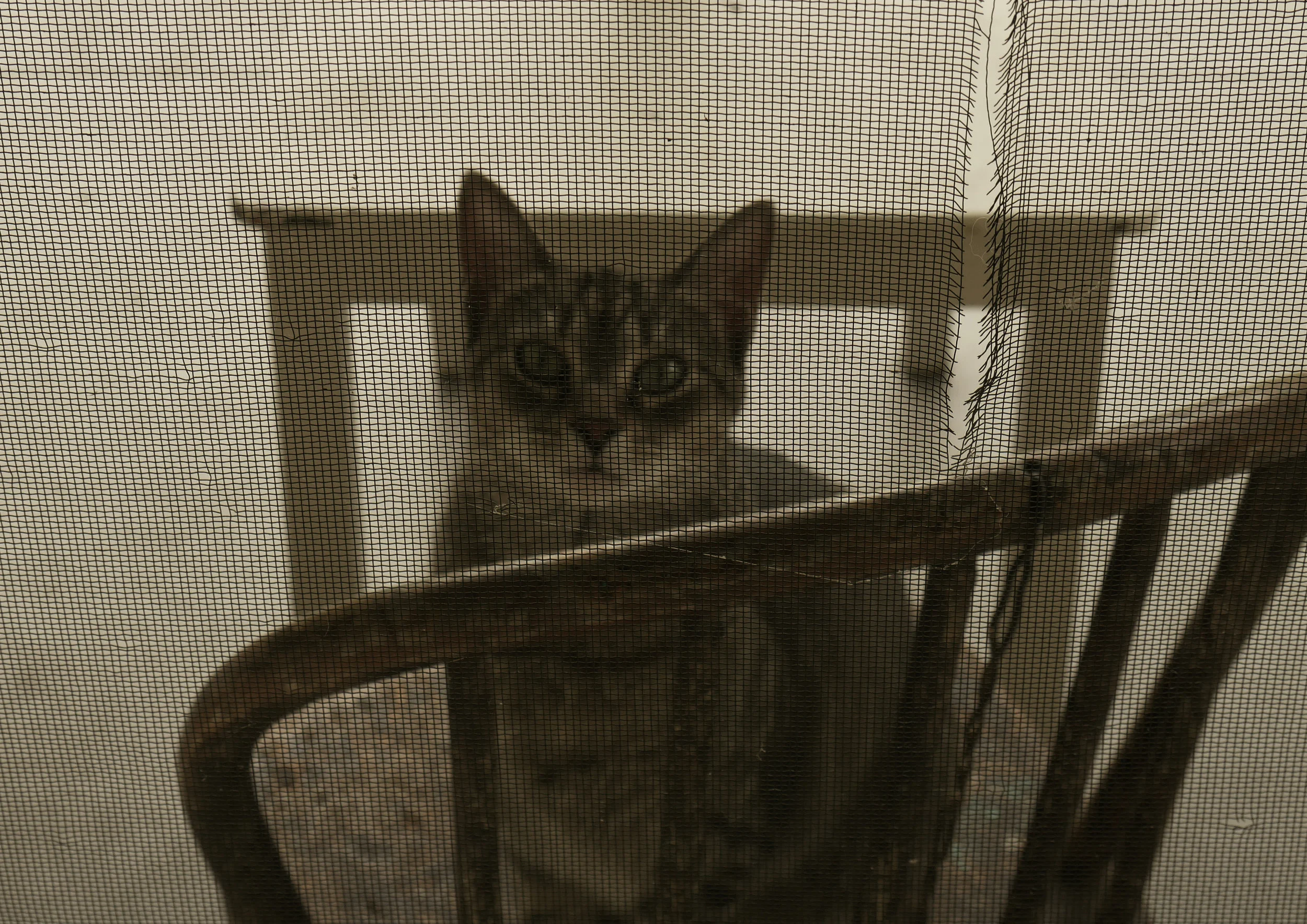 my baby.jpg