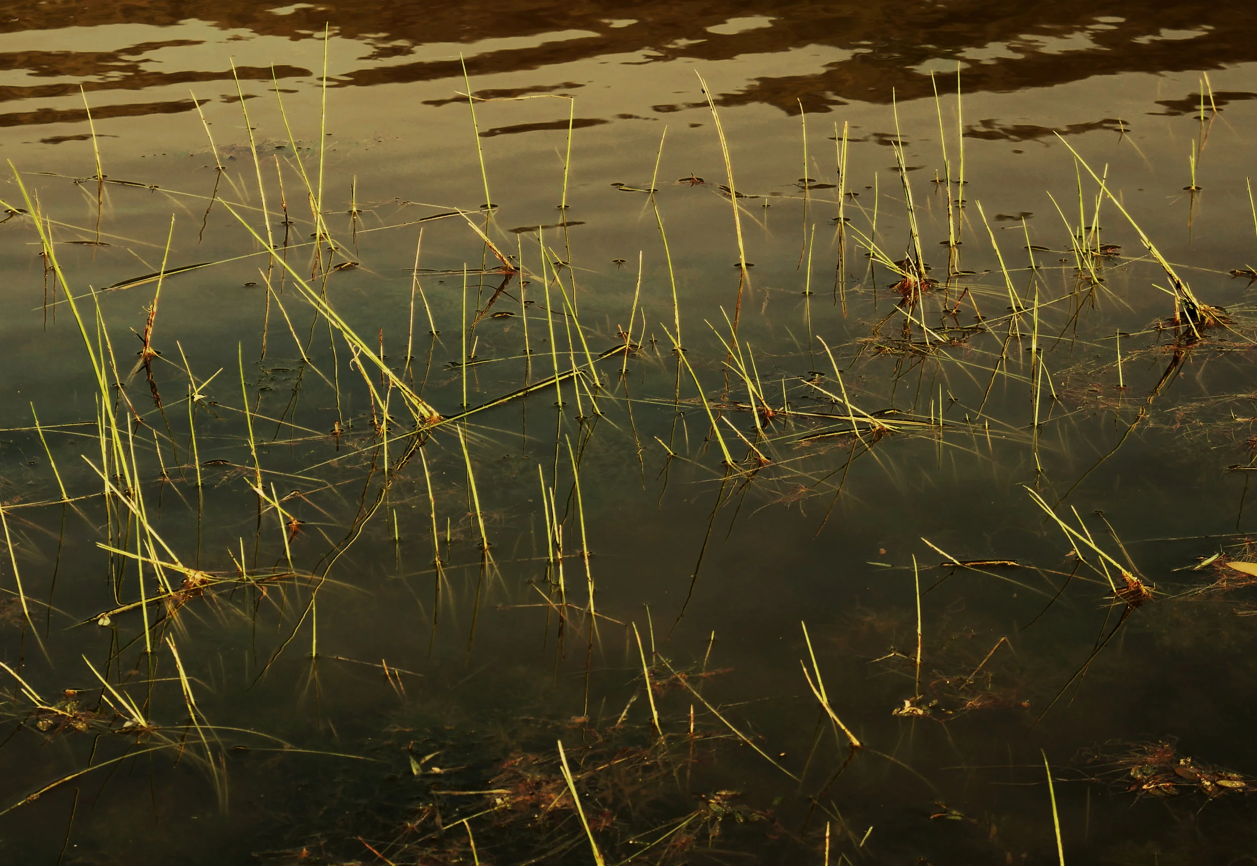 at the edge.jpg
