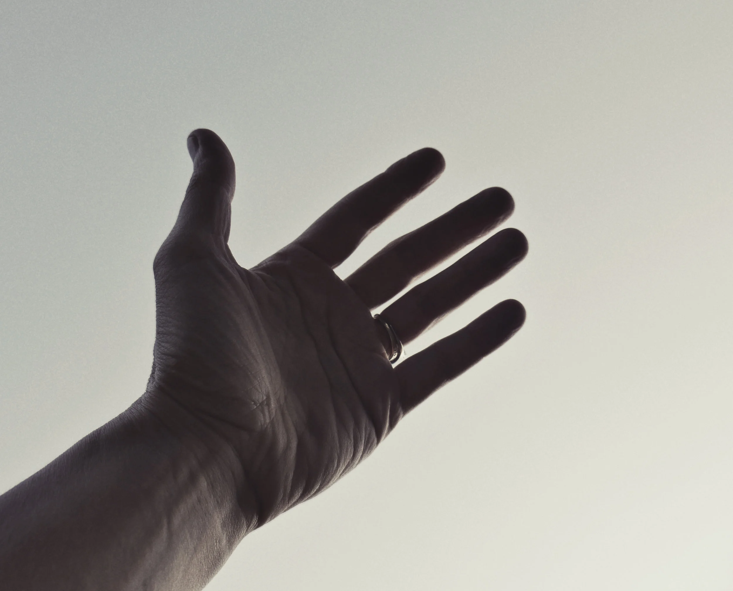 take my hand.jpg