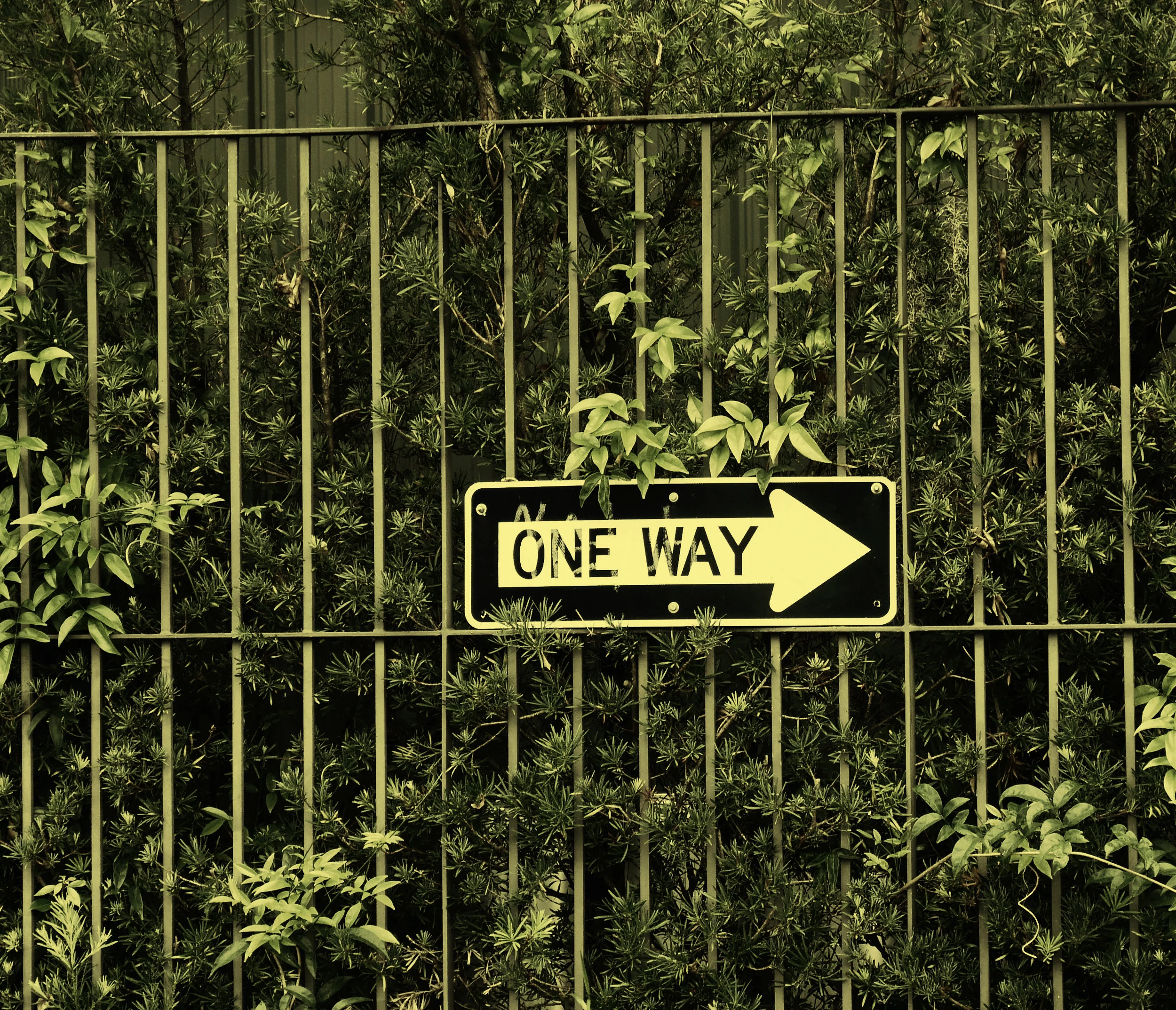 oneway.jpg