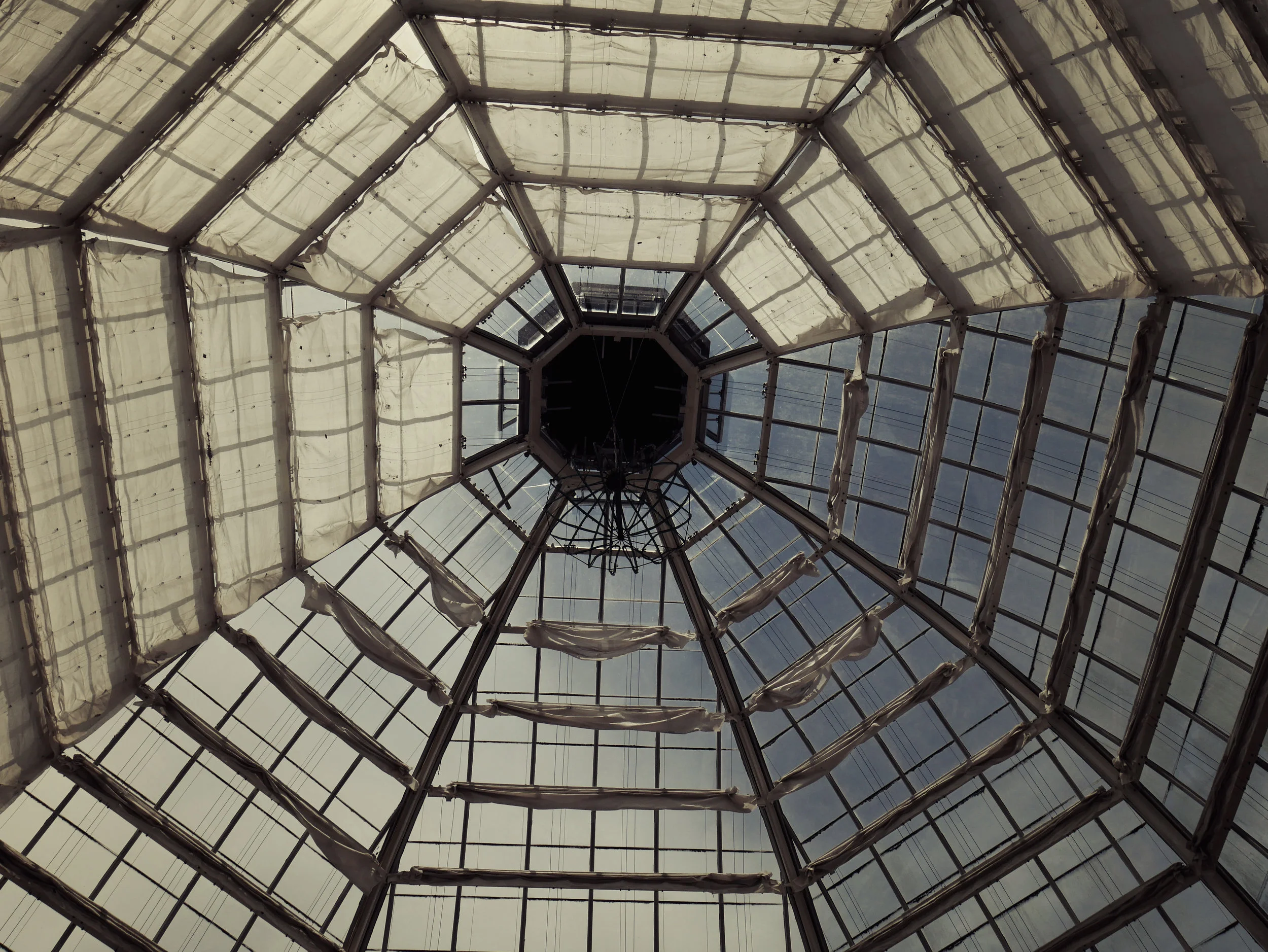 look up.jpg
