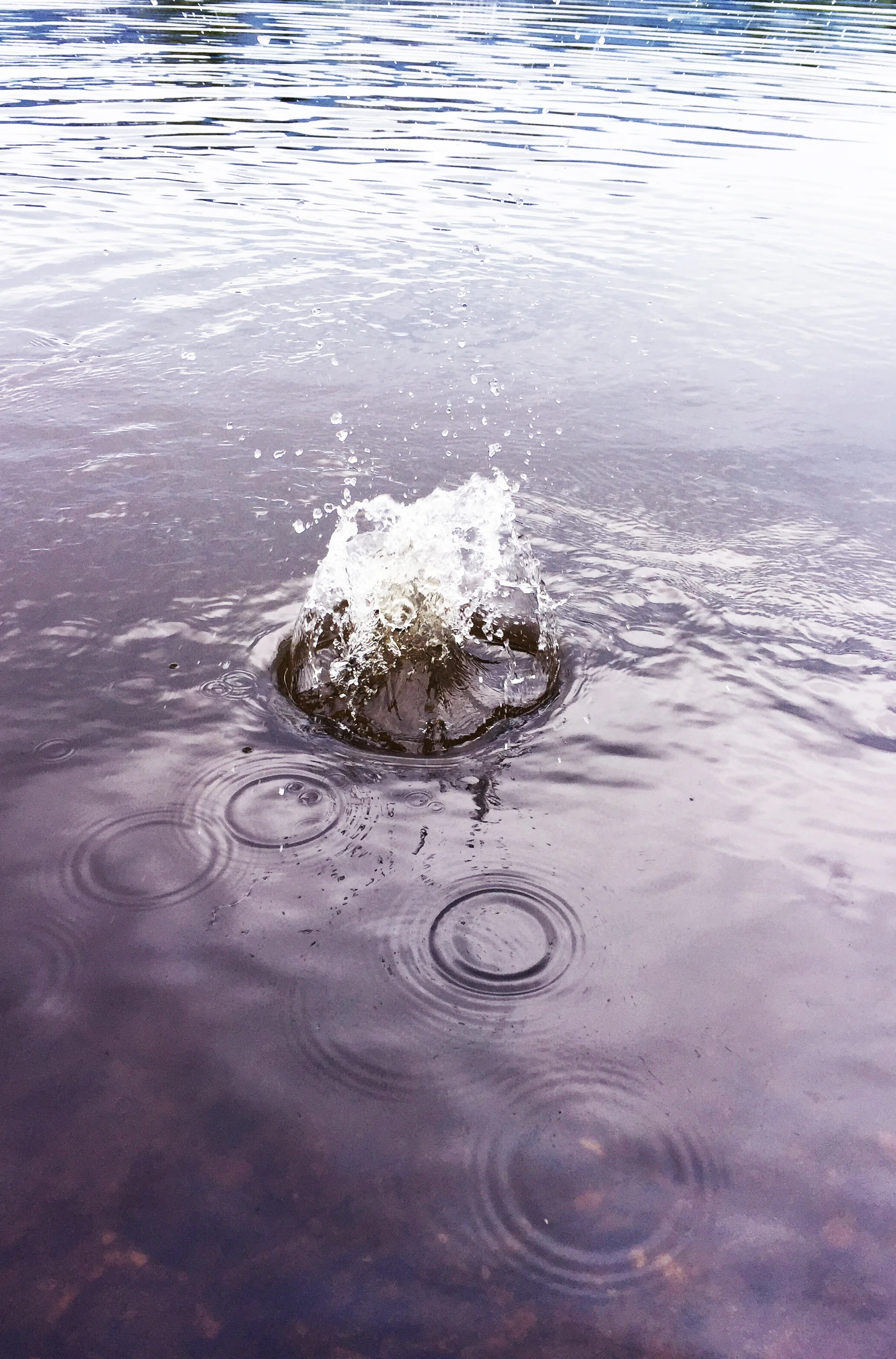 splash.jpg