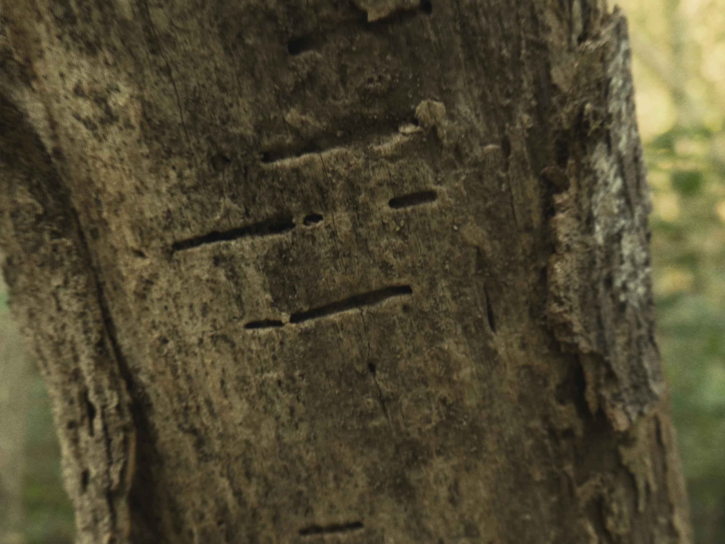 iseefaces.jpg