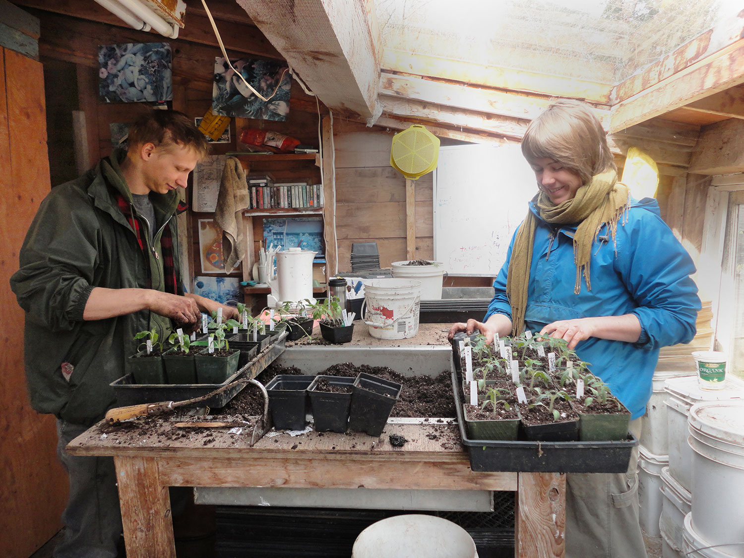 almfarms_apprenctice_02.jpg