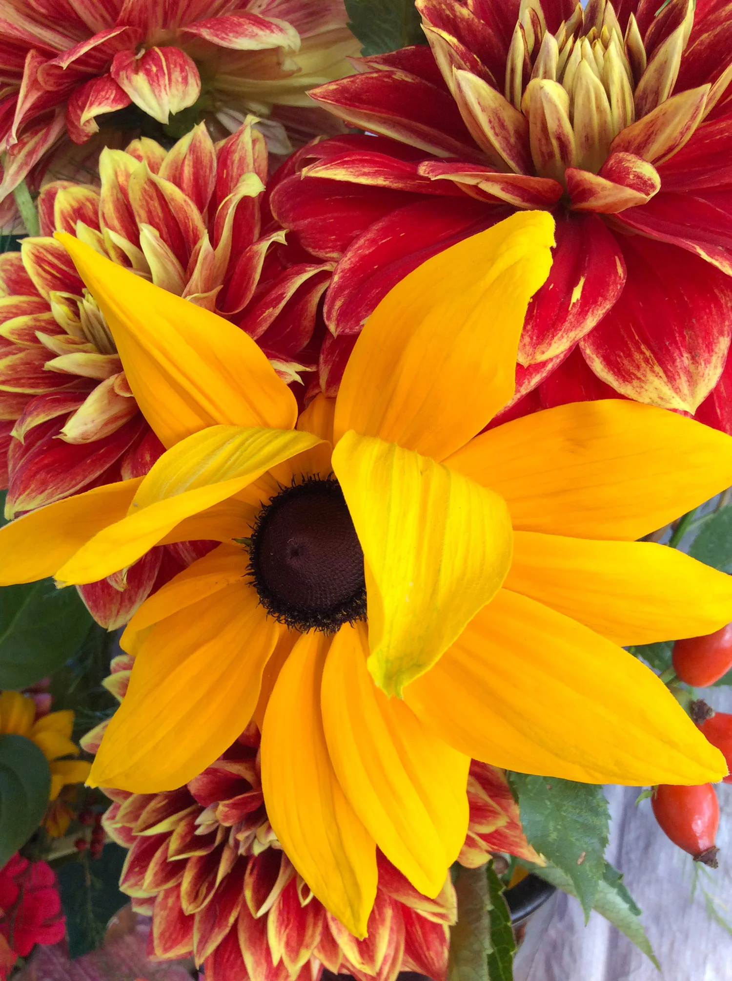 Organic Flowers