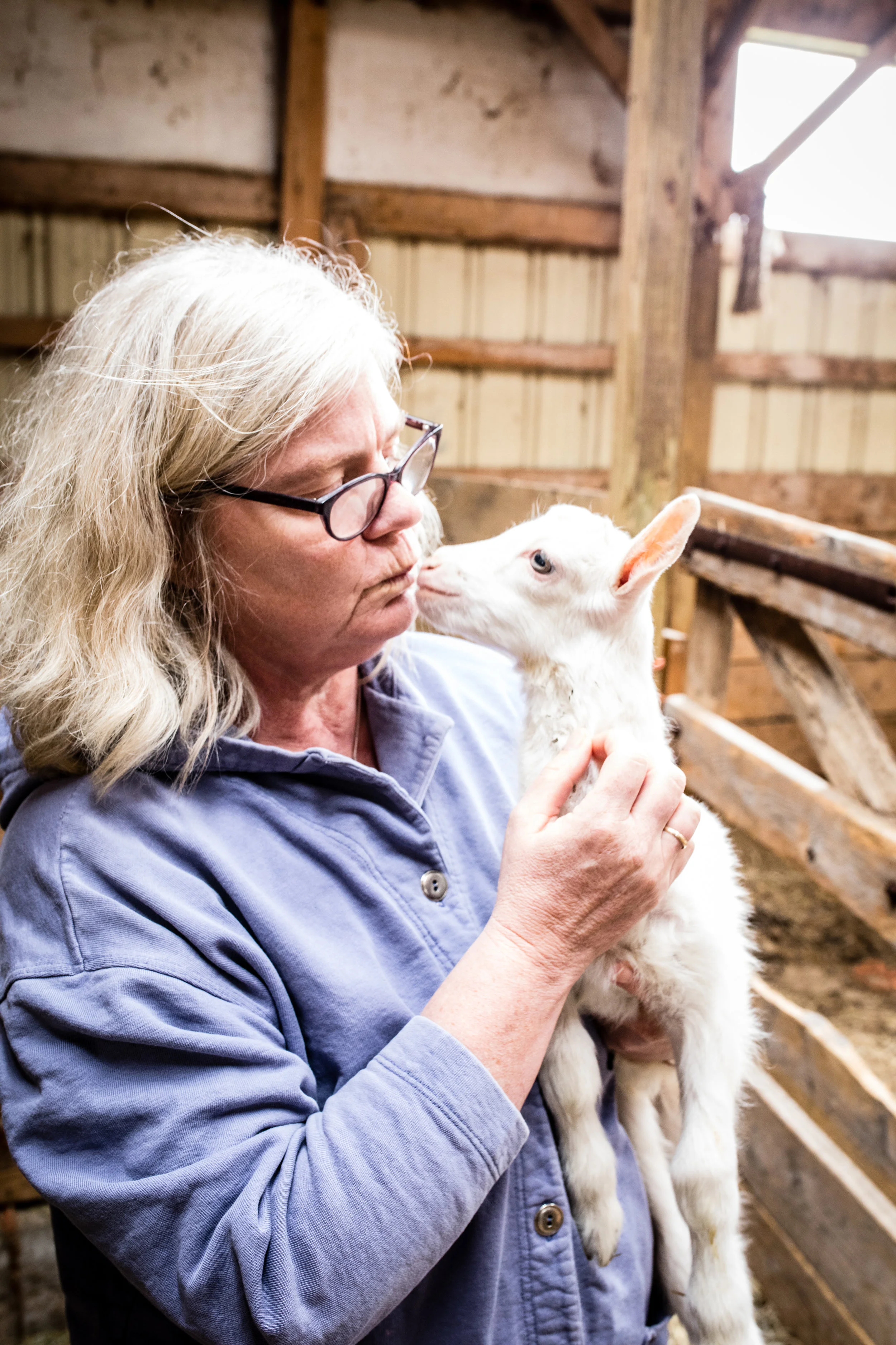 Lively Run Dairy Farm and Creamery 5.jpg