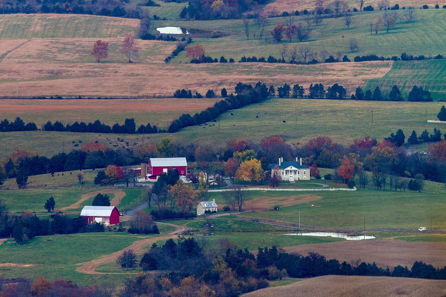 Photo credit Ann & Rob Simpson. Courtesy Belle Grove Plantation.