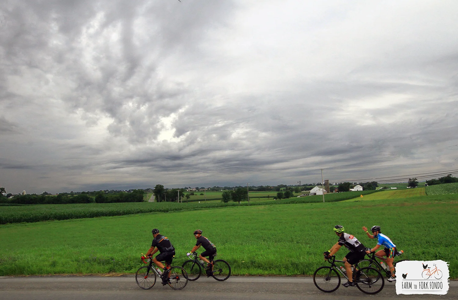 RIDE-313.jpg