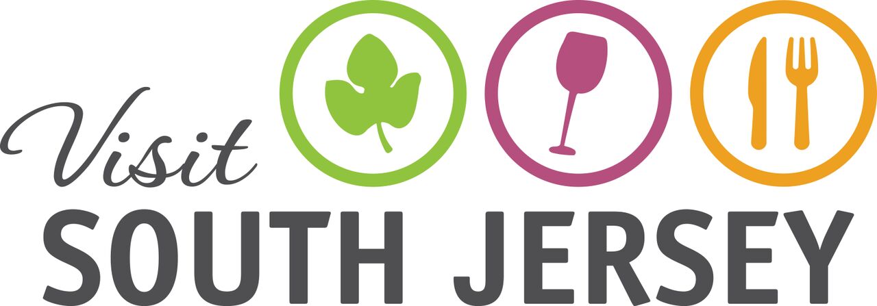 VSJ-Logo-Full Color-web_preview.jpeg