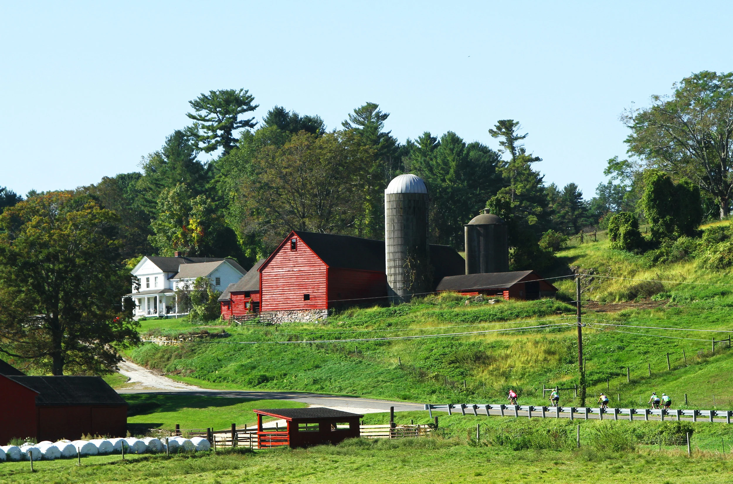 Serendipity Catering chef, 2017 Farm to Fork Fondo - Finger Lakes