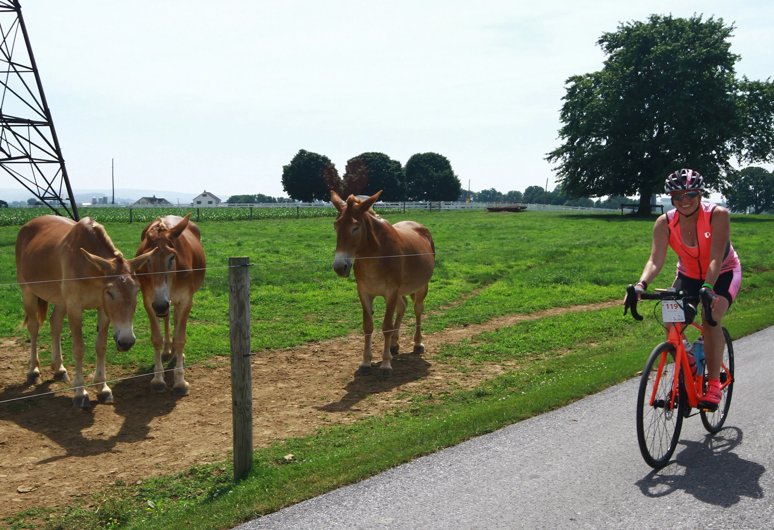 Farm to Fork Fondo 2018 -PADutch07.JPG