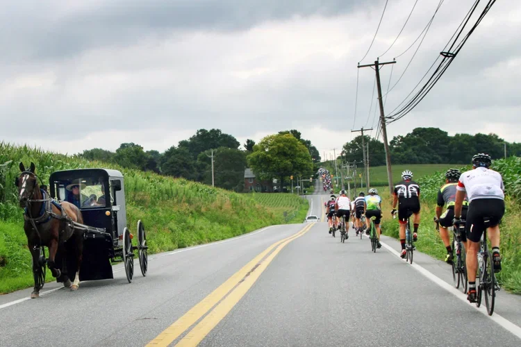 Farm+to+Fork+Fondo+-+Pennsylvania+Dutch+cyclists+passing+an+Amish+horse+drawn+carriage+on+the+way+to+a+gourmet+aid+station.webp