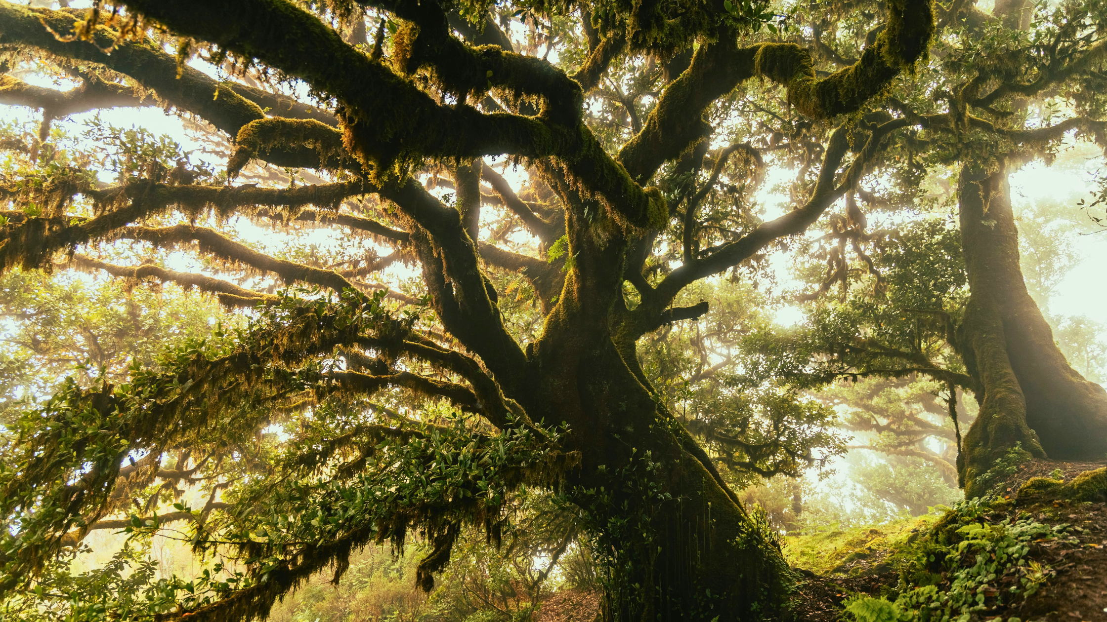 Sustainable High Performance: How to Protect Your People While Accelerating Results