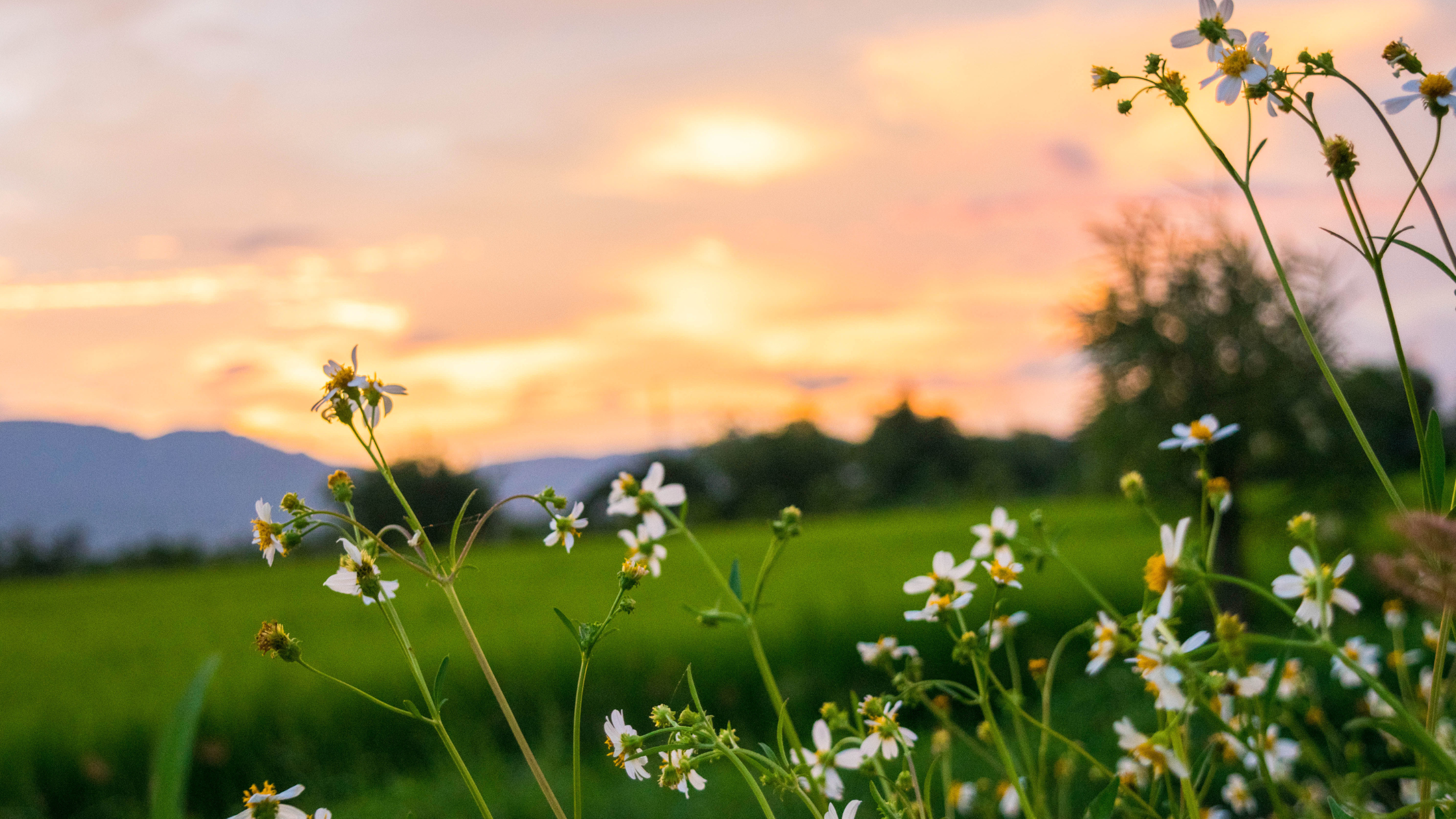 Why Smart Leaders Get Stuck Repeating Old Patterns