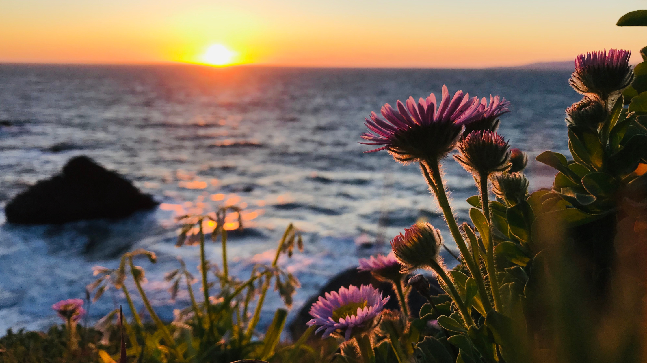 Trust Is Built in Small Moments, Not Big Announcements