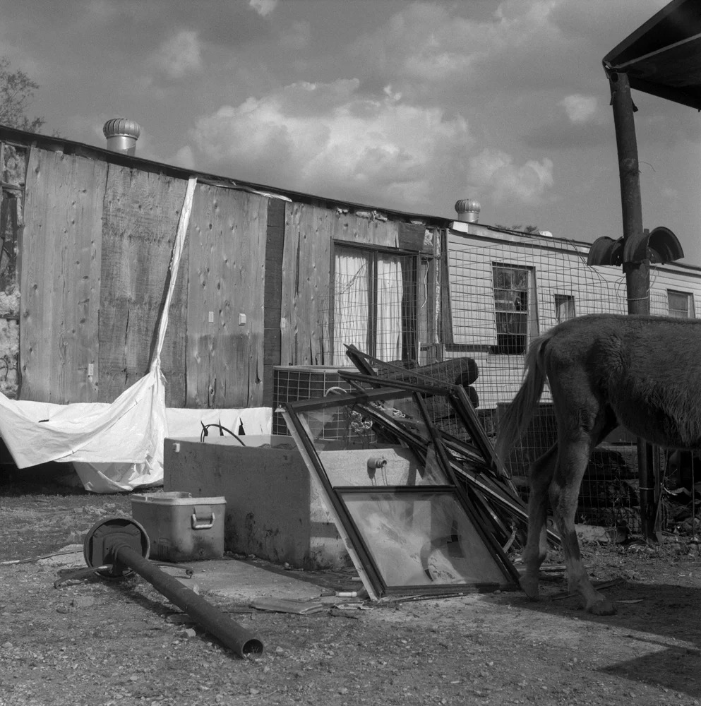 Horse and Trailer.jpg